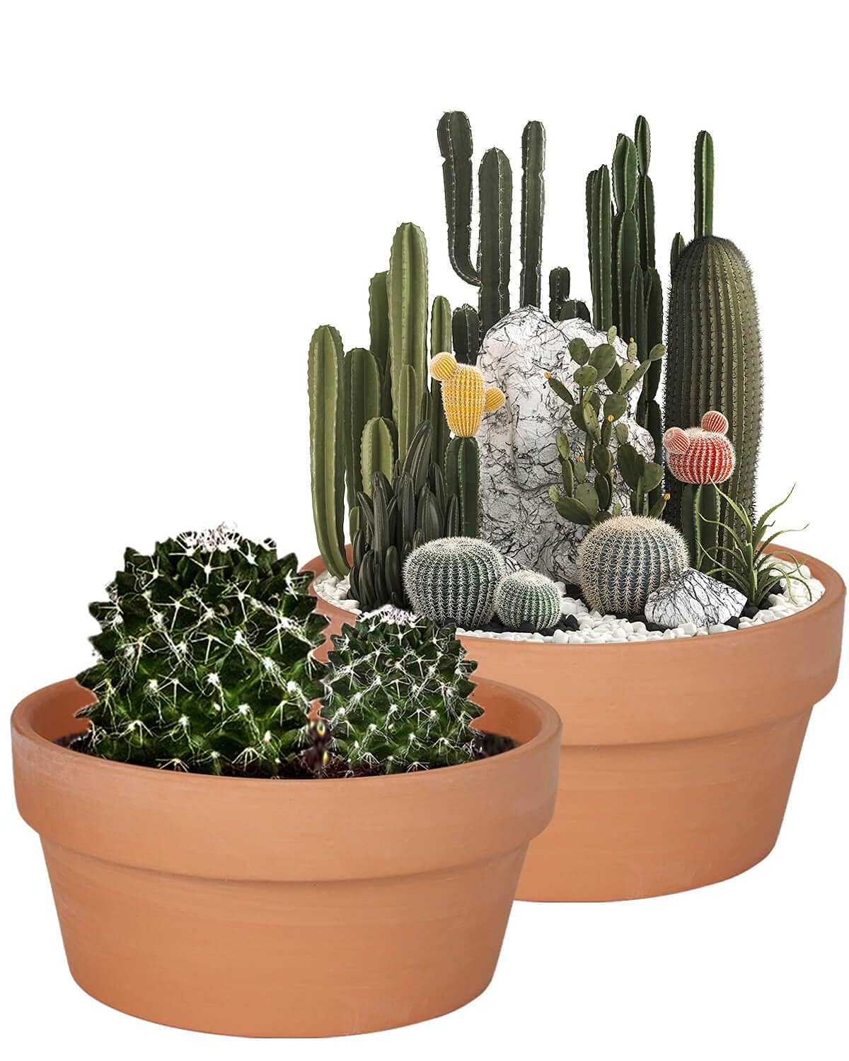 vensovo 8 Inch Terracotta Shallow Succulent Pot - 2 Pack Large Terra Cotta Clay Pot, Cacuts Indoor and Outdoor Planters with Drainage Hole