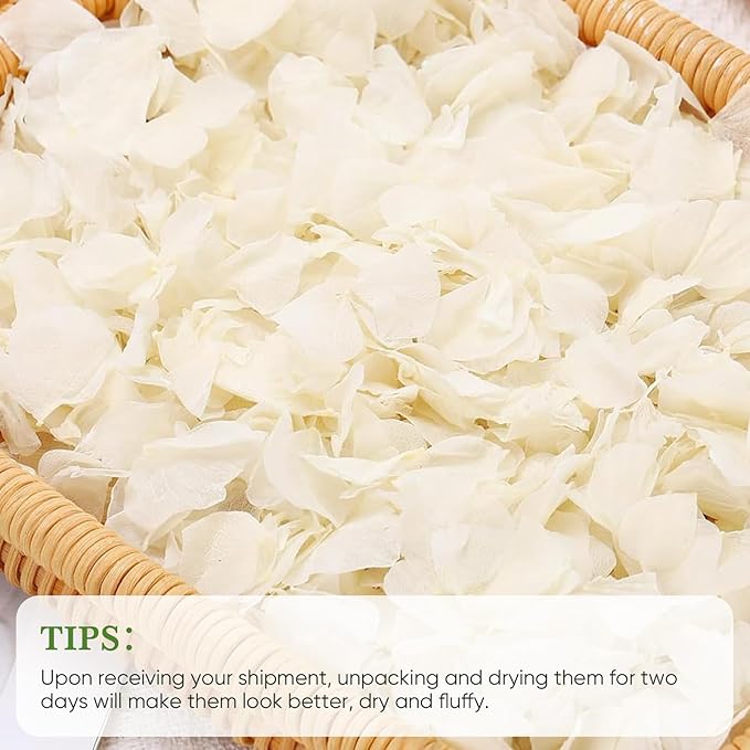 1500pcs Real Dried Ivory White Hydrangea Flower Petals, Natural Dried Petals for Wedding Decor, Valentine's Day, Proposal & Romantic Night, Flower Girl Baskets, Craft & DIY Projects (1.06oz/30g)