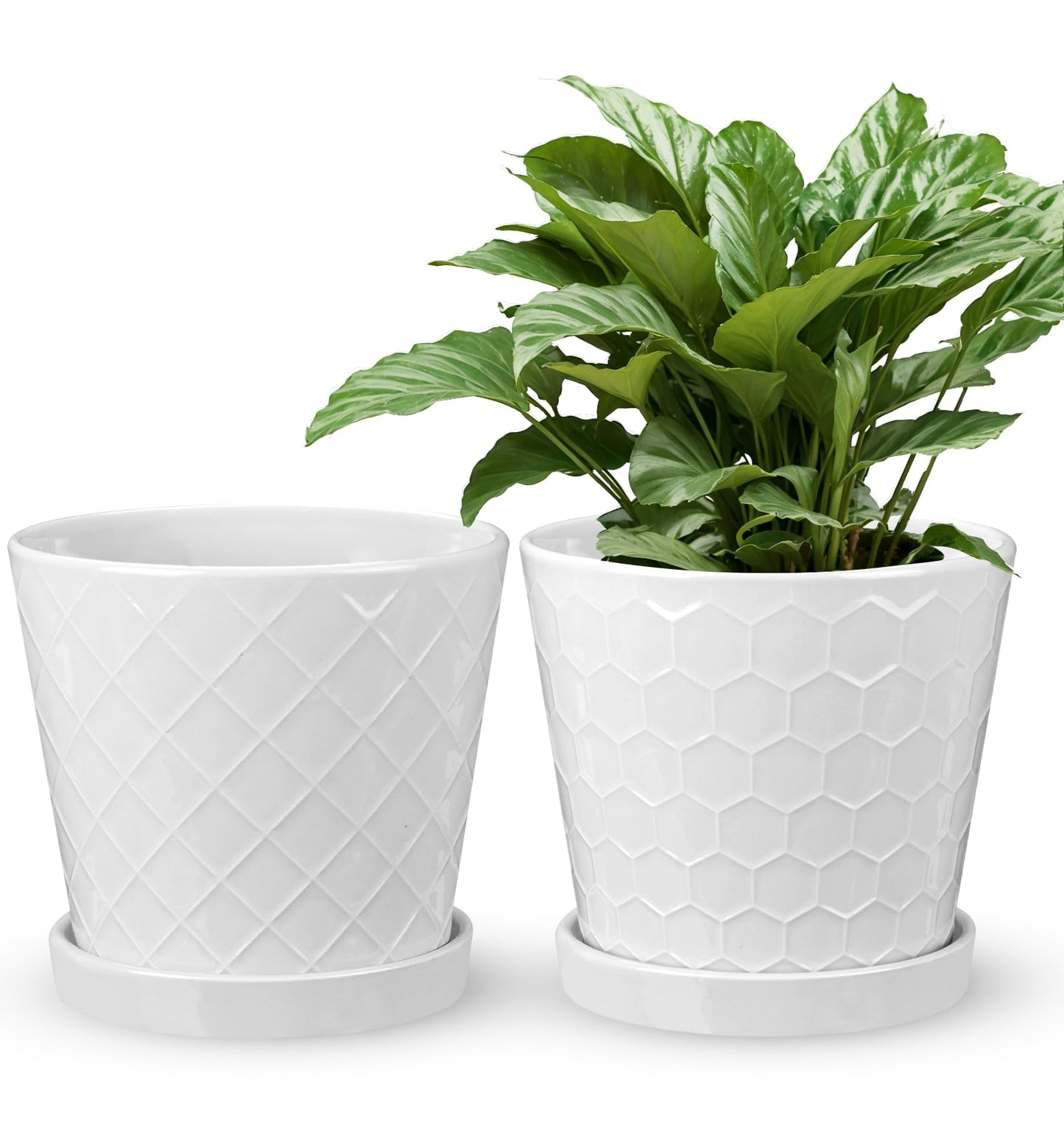 EFISPSS Ceramic Plant Pots, 6 Inch Pots for Indoor Plants, Planters with Drainage Hole and Saucer, Flower Pots Desktop Office Windowsill Decoration Gift Set of 2 - White