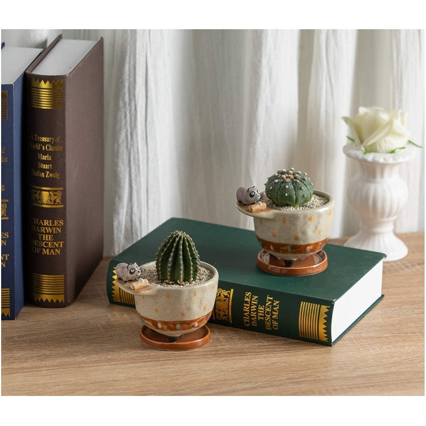 MAKOLO Ceramic Succulent Planter Small Pot with Drainage Hole and Tray for Cactus Flower Plant Container Shelf Home Office Desk Decoration (Raccoon)