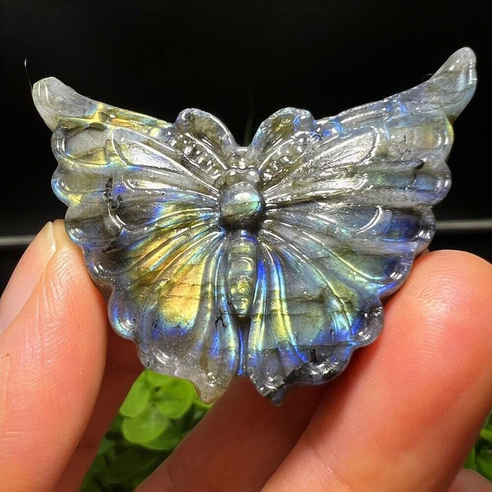 TEAMWILL 2" Natural Labradorite Carved Butterfly Skull Quartz Crystal Healing Reiki