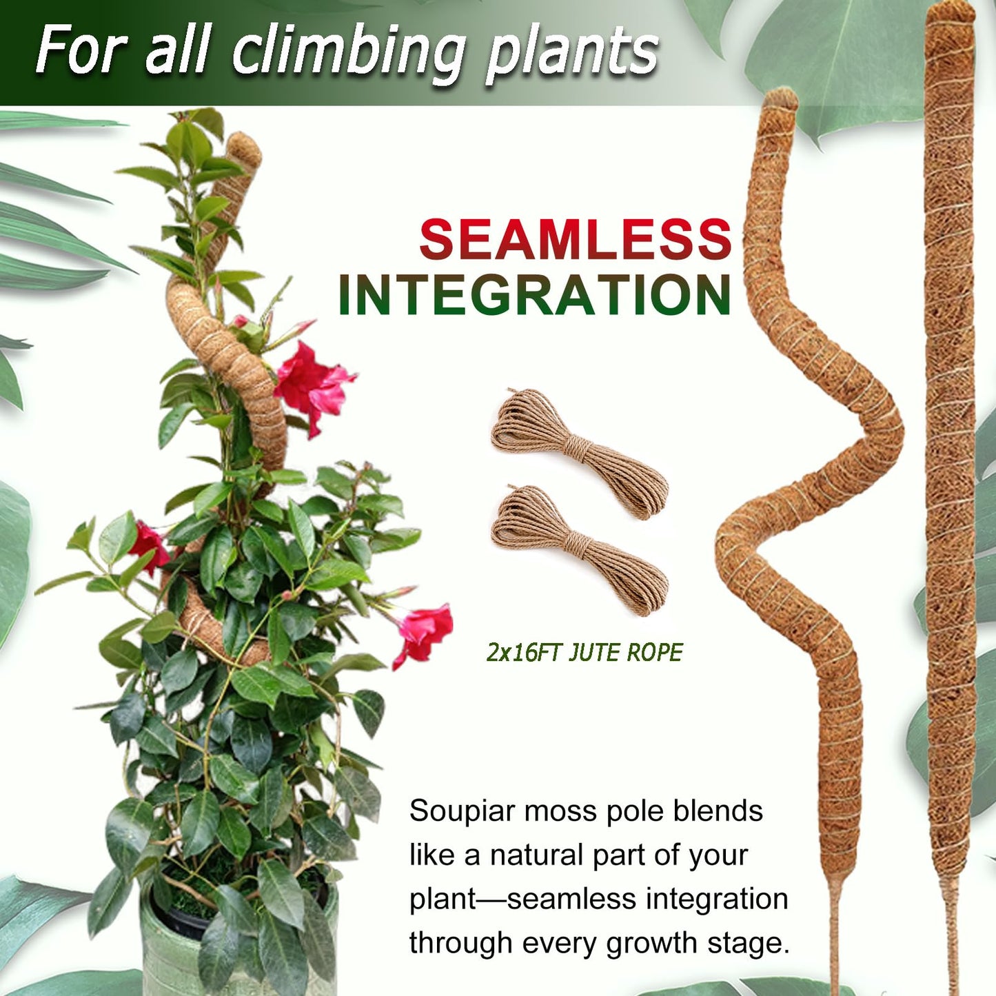 Soupiar 2 Pack 60'' Bendable Moss Pole for Monstera & Pothos - Tall Handmade Coco Coir Plant Support Stakes for Large Climbing Indoor Plants, Potted Houseplant Trellis Accessories