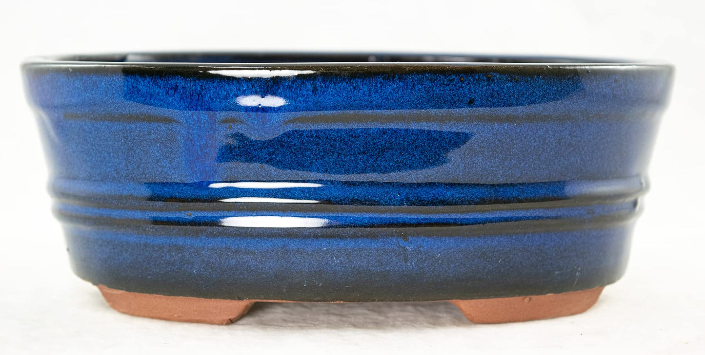 8.25" Oval Dark Blue Stain Glazed Bonsai Pot, Cactus & Succulent Planter + Tray + Rock + Mesh and Wire Combo (658-8B Combo)