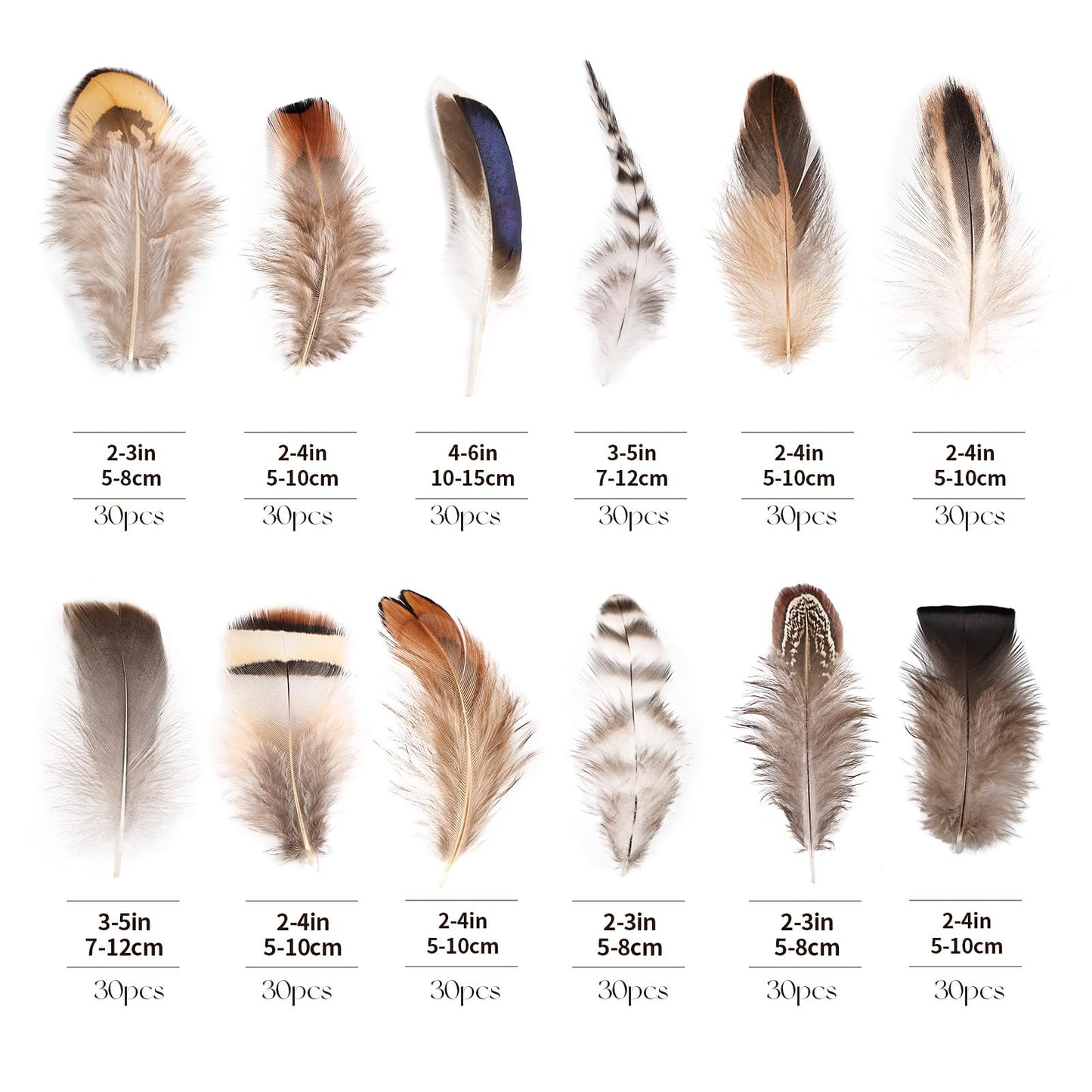 Natural Feathers Bulk -360PCS - 12 Styles Assorted Small Natural Feathers, Peacock Feathers, Pheasant Feathers, Turkey Feathers for DIY Crafts, Wedding, Crafting Supplies