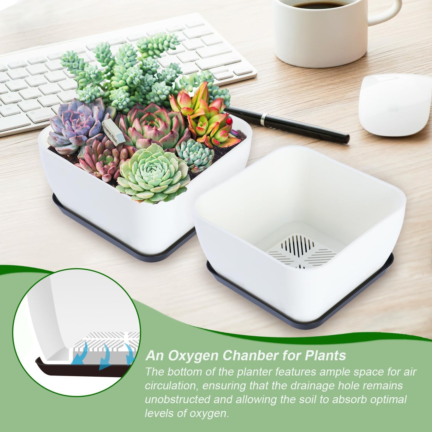 Succulent Pots 6 Inch Shallow Herb Planters with Drainage Hole - 8 Packs Cactus Planter for Home Office Garden Plants Pot Present - Plants Not Included (Off White)