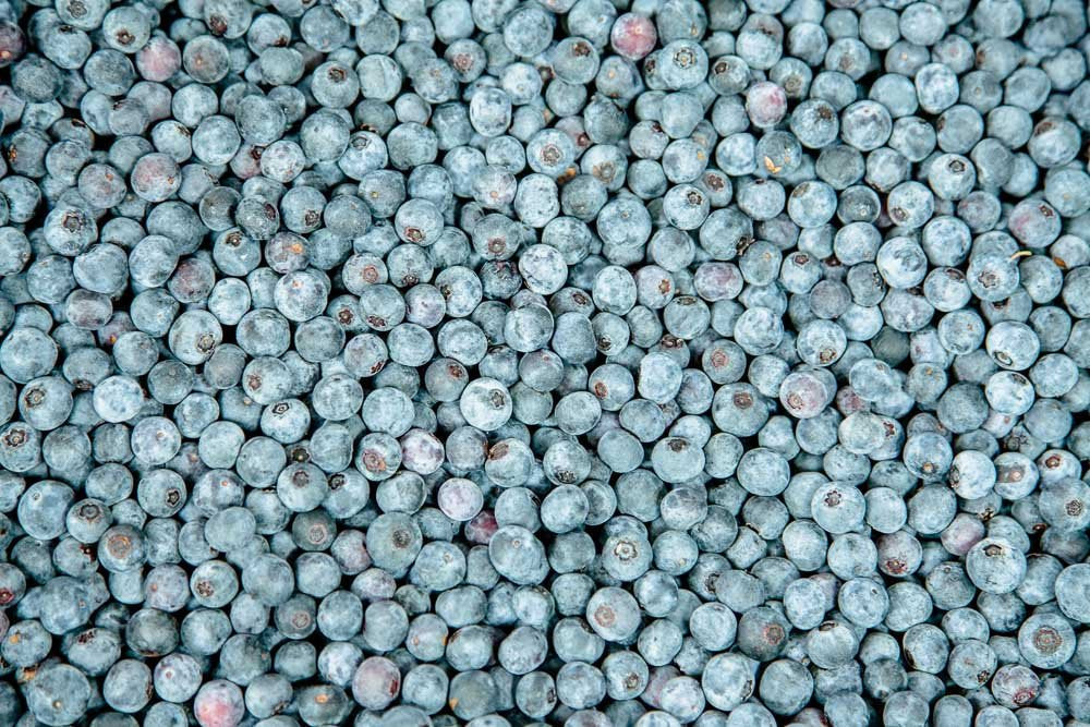 Powder Blue 1 Gallon