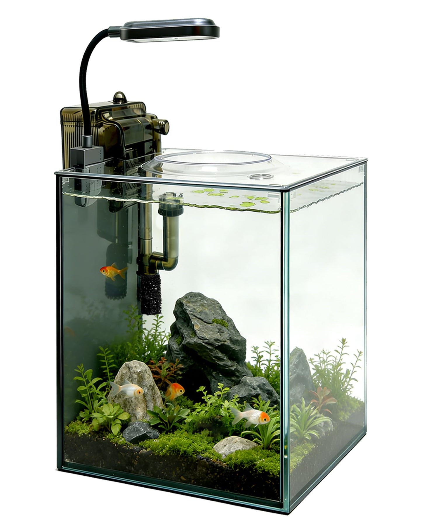 Turchongeco 2.1 Gallon Nano Aquarium Kit with Lid, Space Saving Hang-On Filter and LED Light, Ultra-Clear Rimless Glass Desktop Fish Tank for Small Fish, Shrimp, and Betta
