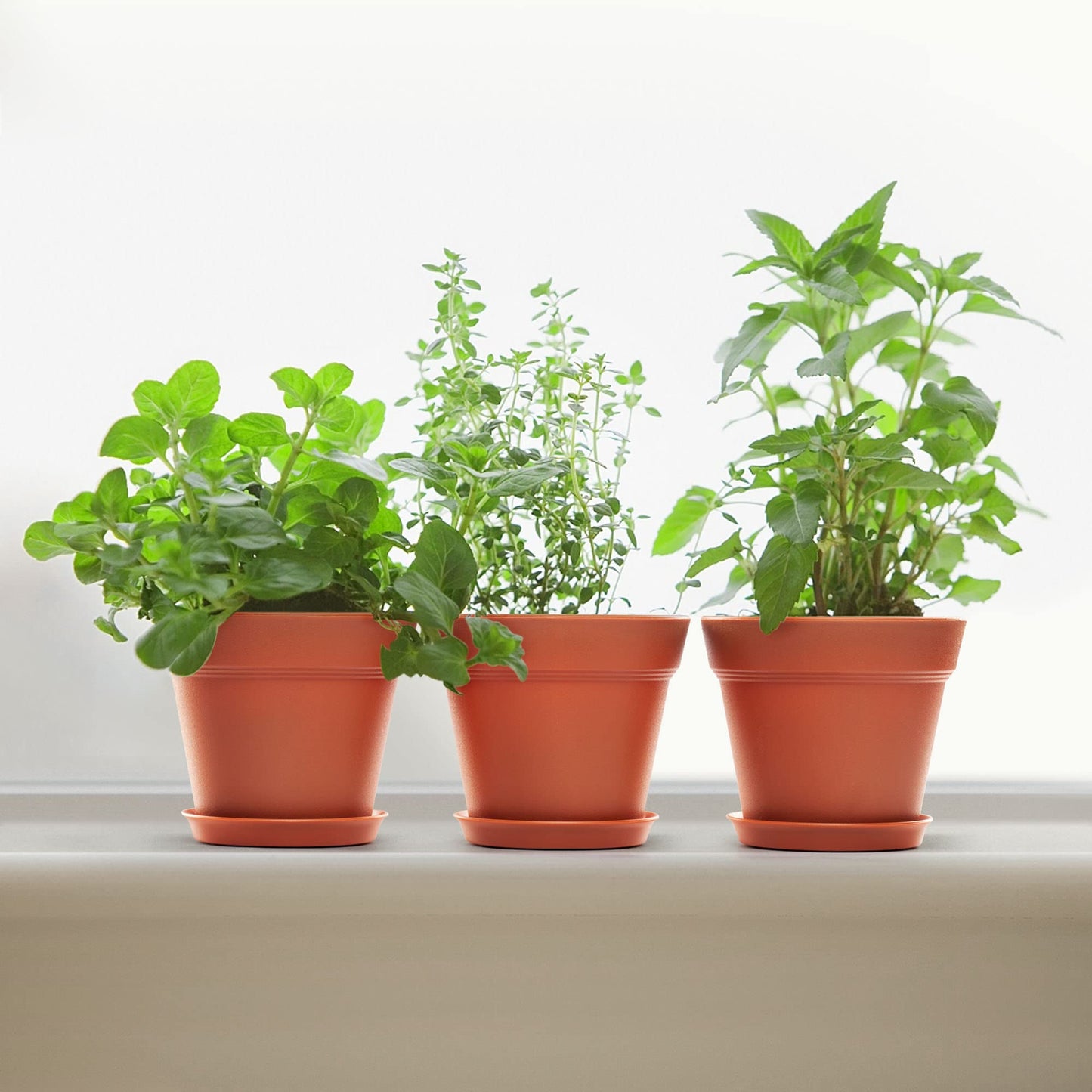 FHWTY 6 Pack 4in Plastic Plant Pots Black & 6 Pack 4in Plastic Plant Pots Terracotta