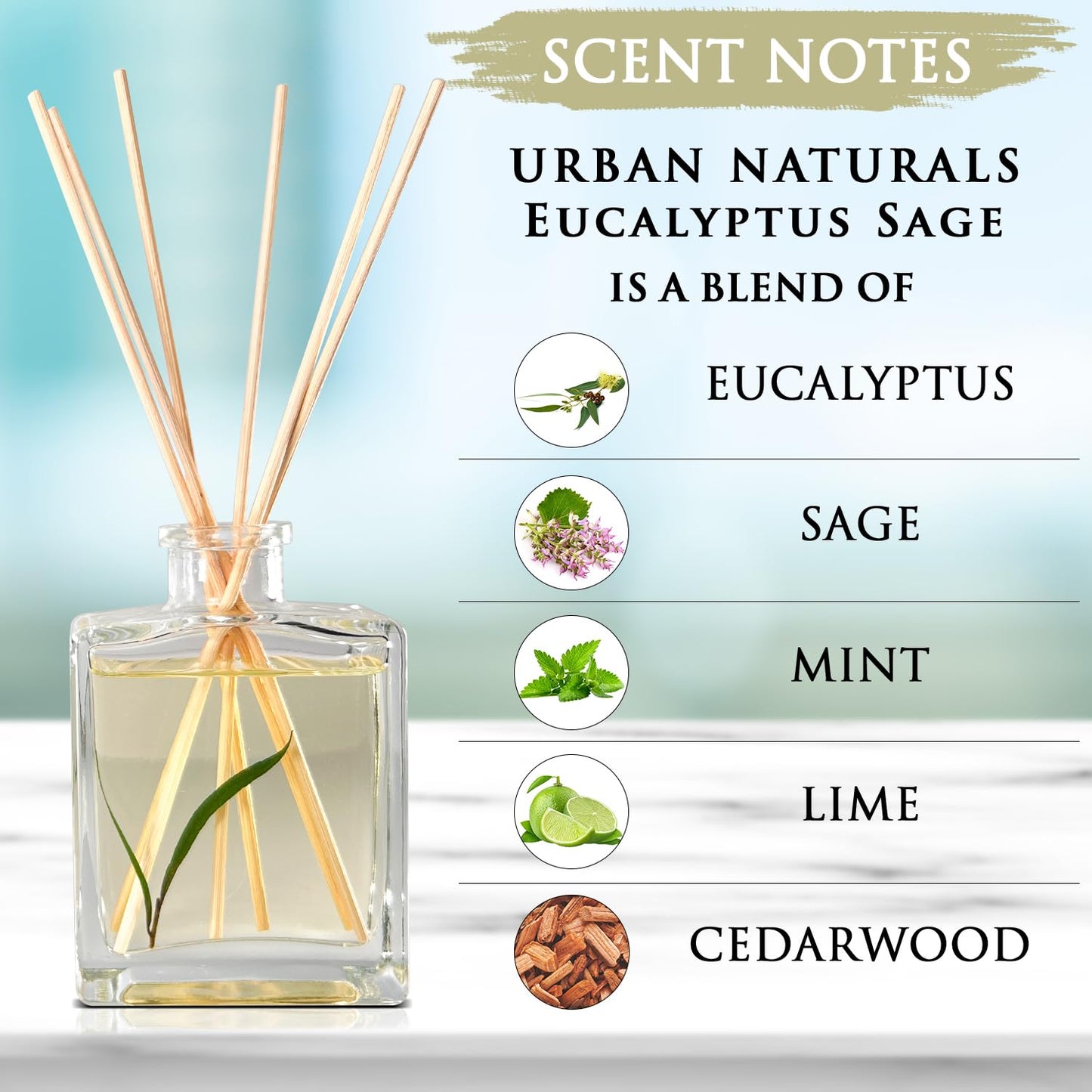 Urban Naturals Eucalyptus Sage Reed Diffuser Oil Gift Set – Eucalyptus, Sage, Mint, Lime & Cedarwood Essential Oils– Relaxing Scent – Sleek Rectangular Refillable Glass Bottle – Made in the USA