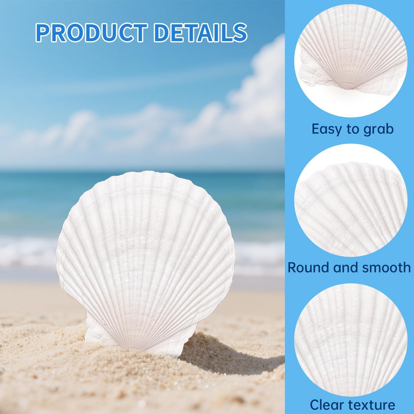 20PCS Large Scallop Shells for Crafts, 4-5 Inch Natural Sea Shells for Decorating, White Seashells Bulk for DIY Crafting, Painting, Baking, Ocean Themed Party Supplies & Decorations