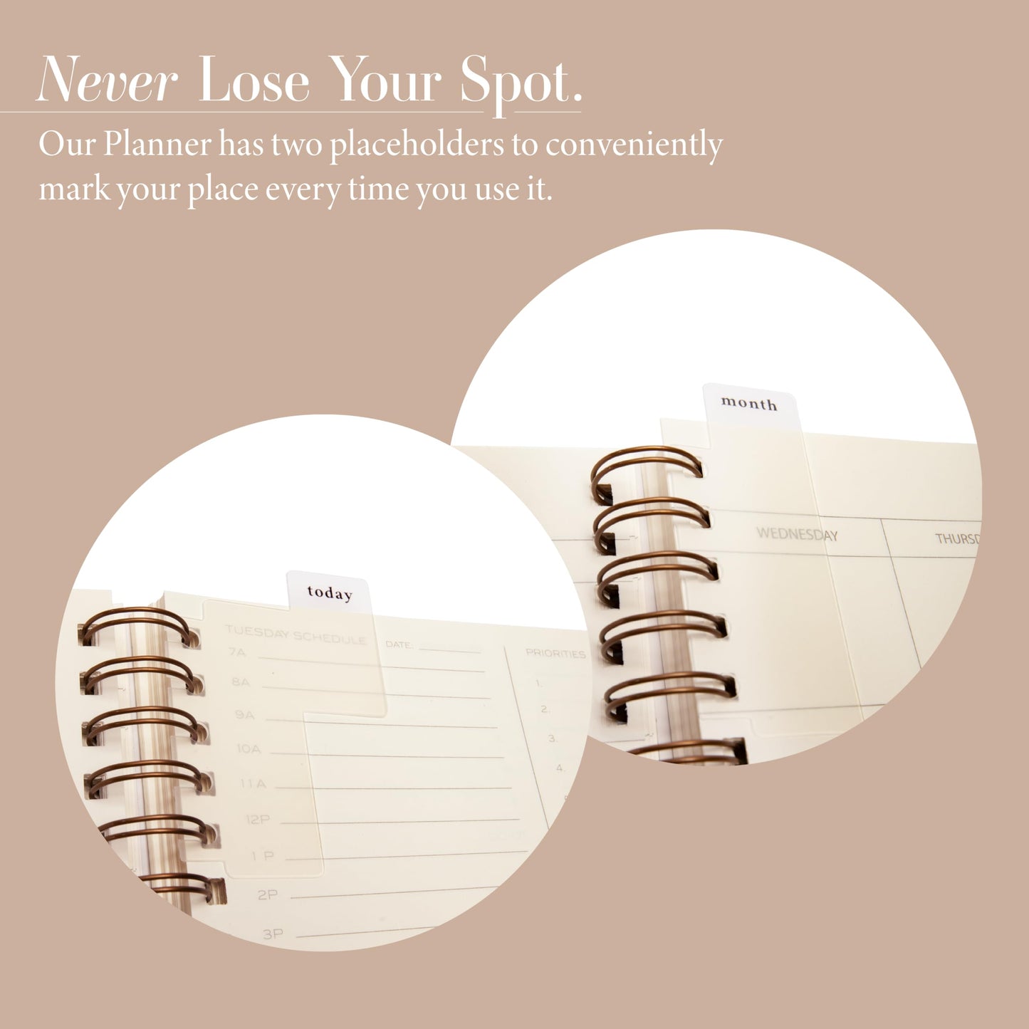 Anecdote Spiral Planner w/2026-2027 Calendar (8.5" x 10") | Start Anytime - 52 Weeks, Undated Planner Pages | To-Do List Organizer, Plan Your Success, Achieve Productivity Goals (Evergreen)