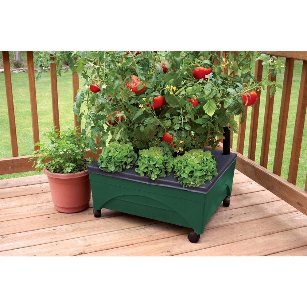 Emsco Group 2341-1HD City Picker Raised Bed Self Watering and Improved Aeration – Mobile Unit with Casters-Hunter Green Grow Box and Seed Starter