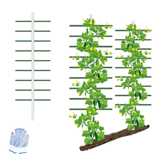 Agfabric 6ft Garden Trellis 2pack for Climbing Plants Outdoor, U Tower Trellis with 9 Cross-bar (Each 2ft), Fiberglass Rust-Free Plant Support Trellis for Vegetable Plants, U Cross-Section