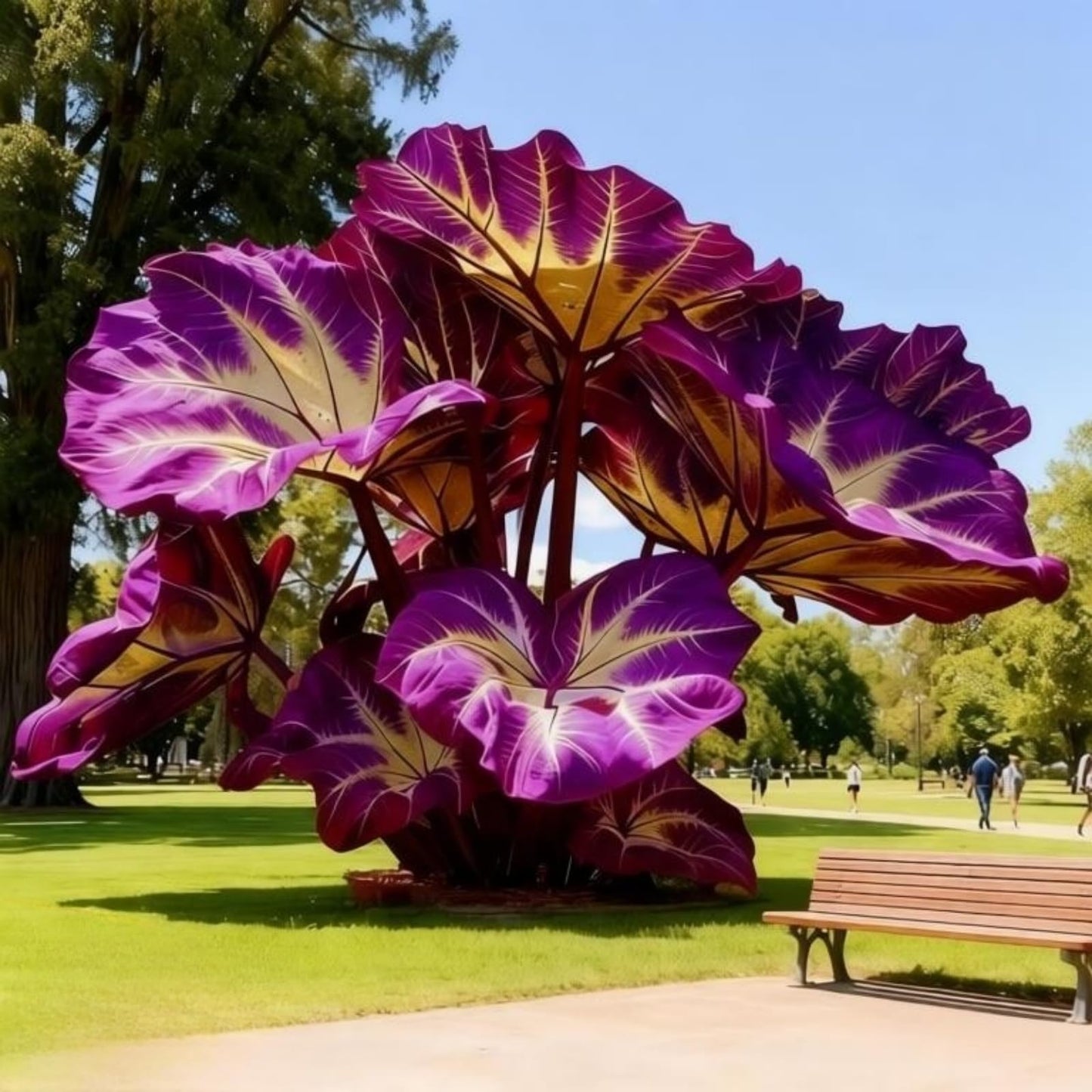 OJHJXUG Cold Tolerant Elephant Ear-High Germination Attracts Pollinators for Outdoor Deraction-Purple Bold Tones (6)