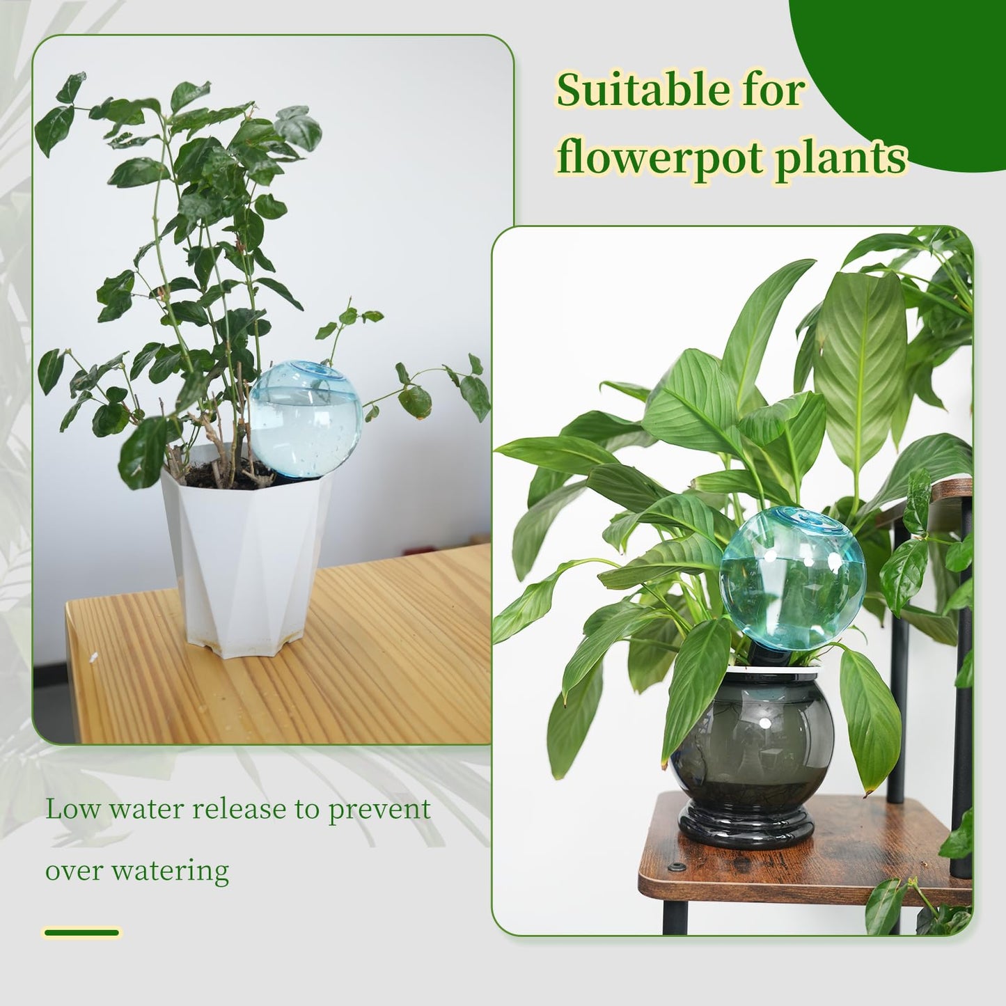 GEWOSI 6pcs Large Plant Self Watering Globes, 17.5 oz Plastic Water Bulbs Top Fill, Plant Watering Devices System Slow Release Terracotta, Water Spikes Stakes for Indoor(6pack)