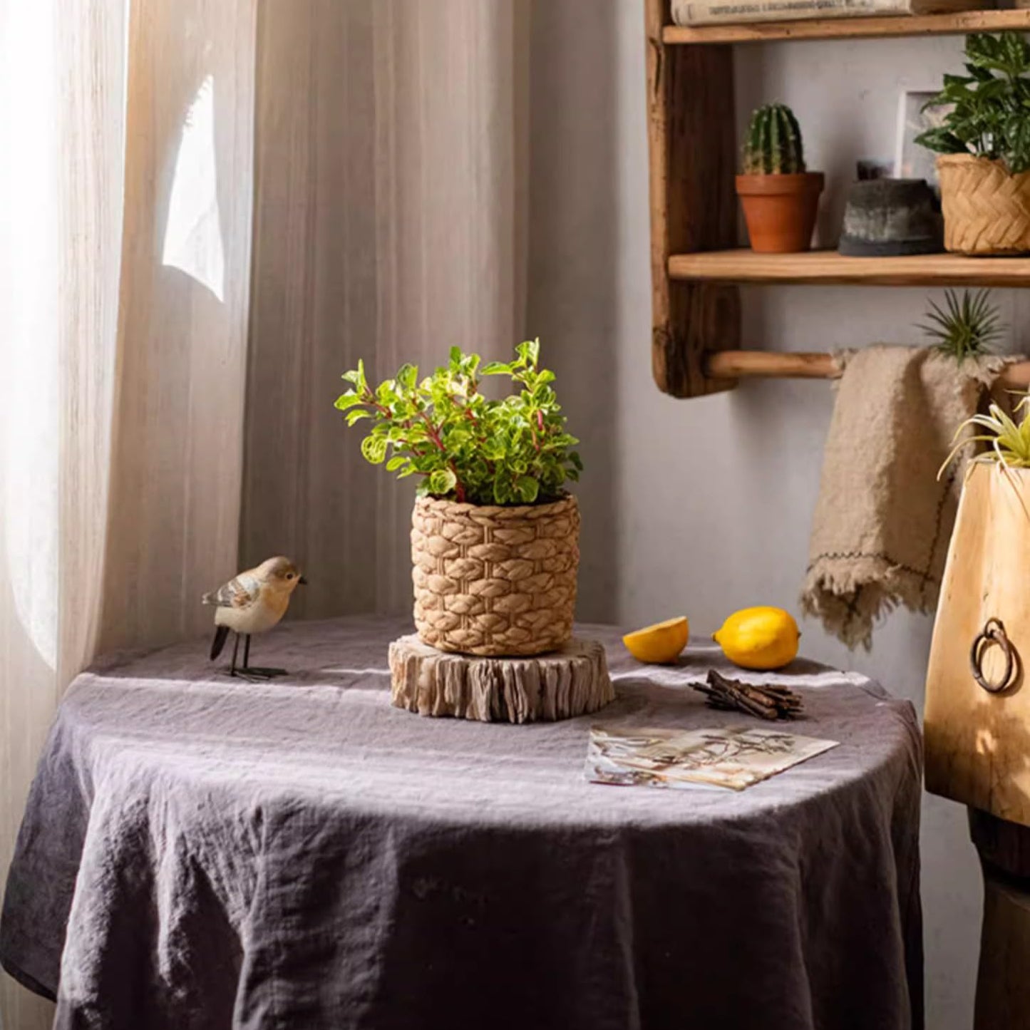 Rustic Reach Grass Woven Looking Cement Planter Large