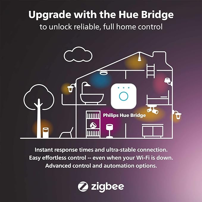 Philips Hue Enrave Large Ceiling Lamp, Black - White Ambiance Warm-to-Cool White Smart LED Light - 1 Pack - Control with Hue App - Compatible with Alexa, Google Assistant, and Apple Homekit