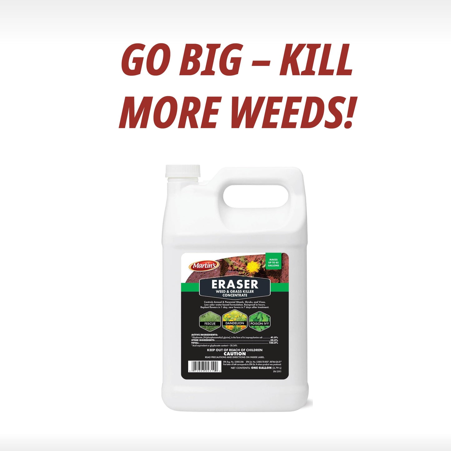 Control Solutions Inc. 82004319 Eraser Weed & Grass Killer Concentrate, 1_Gallon, 128 oz