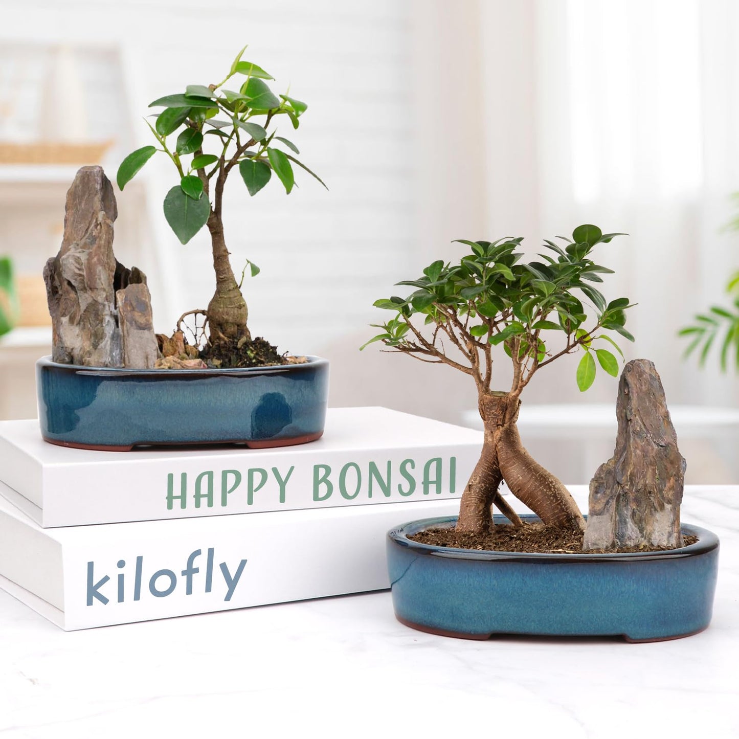 Bonsai Planter Succulent 5.9" Small Glazed Pots Value Set 2 + 4 Soft Mesh Drainage Screens