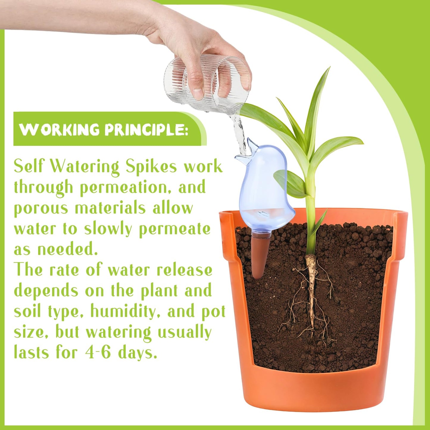 6 Pcs Self Watering Spikes, Indoor Plant Globes - Automatic Irrigation System