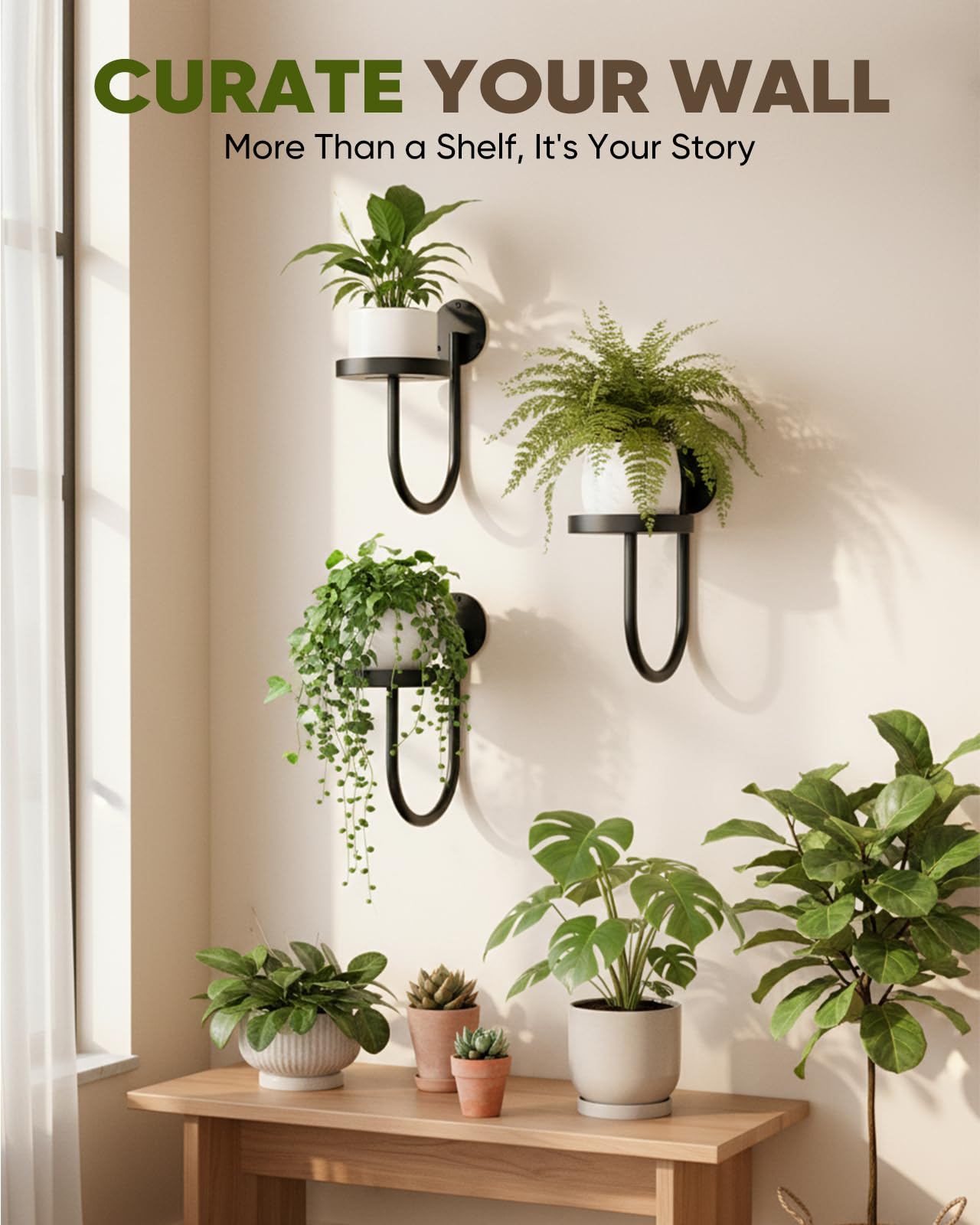 chufa Wall Plant Holder – Hanging Planters for Indoor, Window Planter Shelves & Hanger, Indoor Wall Planters, Modern Plant Decor, Black (3 Pack)