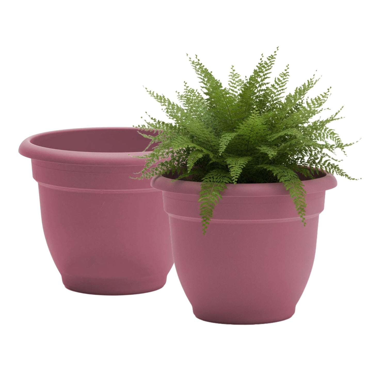 Bloem Ariana 12" Self-Watering Plastic Planter - Rolled Rim Indoor/Outdoor Garden Pot, Dusty Rose, 2-Pack