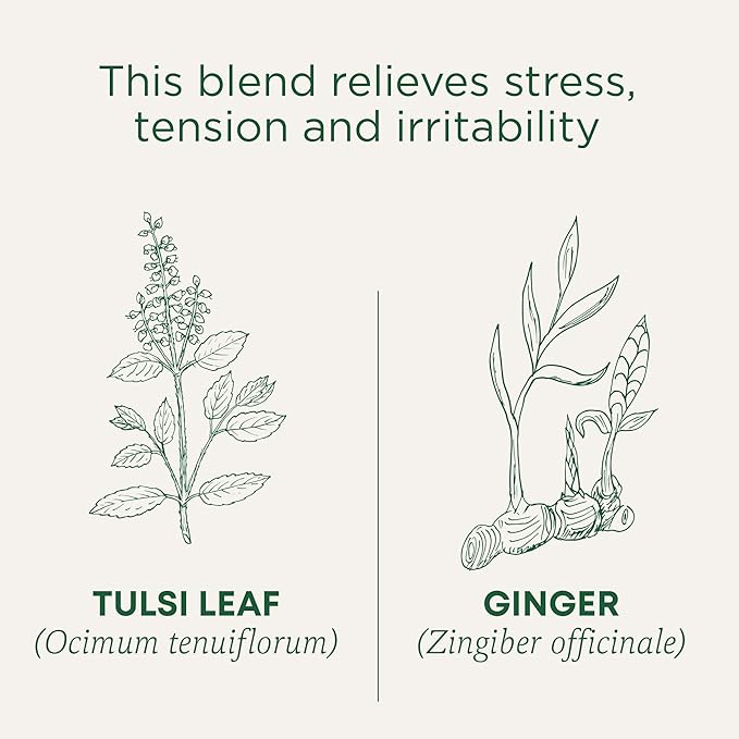 Traditional Medicinals Tea, Organic Tulsi & Ginger, Relieves Stress, Tension, & Irritability, 96 Tea Bags (6 Pack)