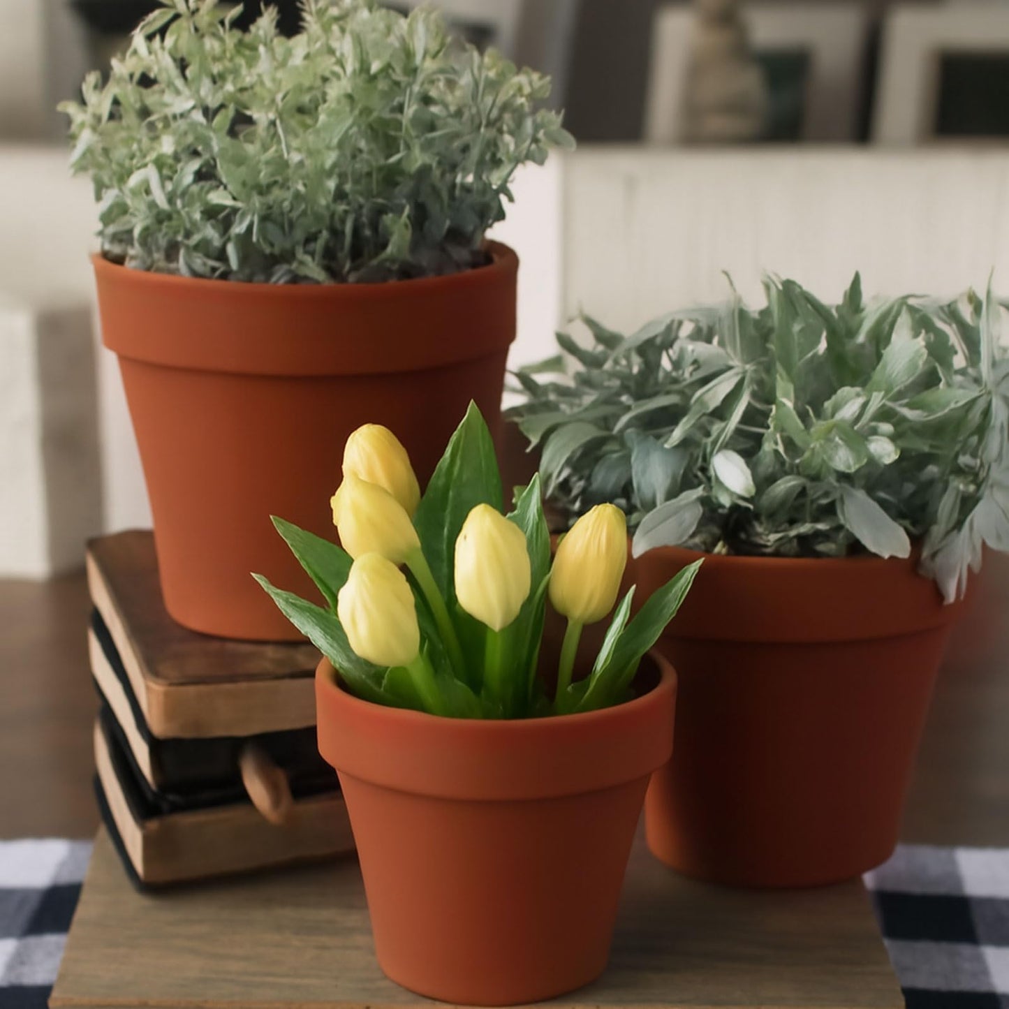 verkelly 50 Pack 2 Inch Mini Plastic Plant Pots with Drainage Holes - Small Round Nursery Seedling Pots Ideal Seedling Starters