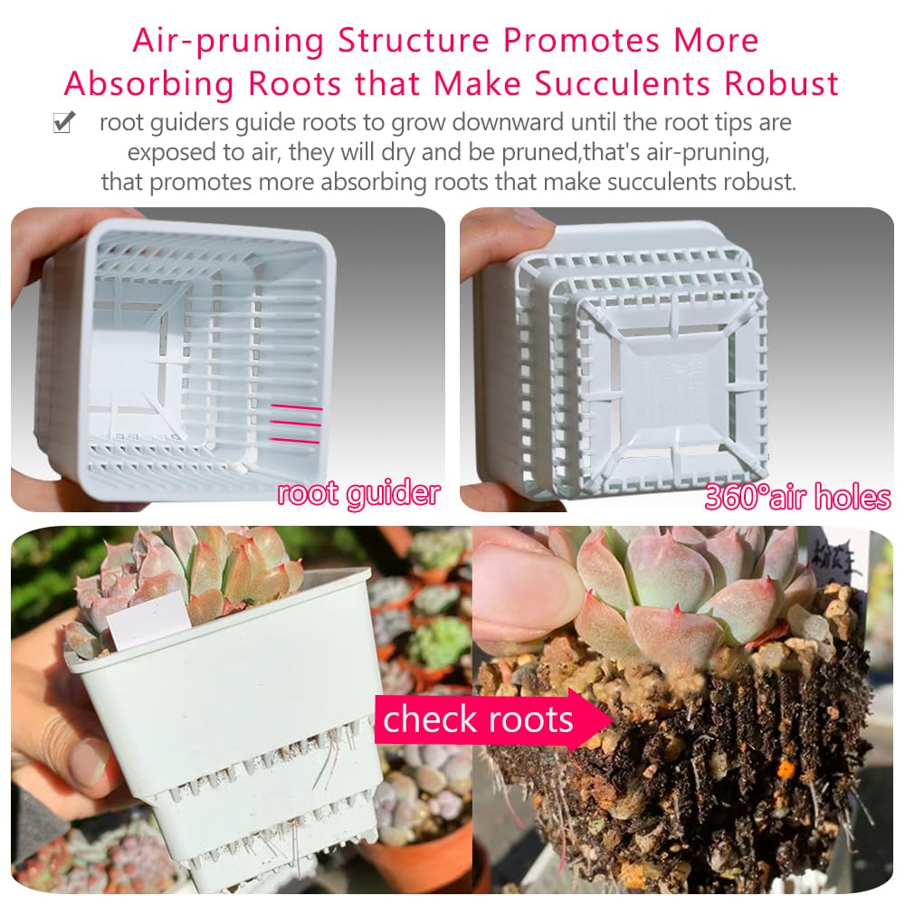 Meshpot Succulent Pots, 12Pcs 2.8 Inch Planters with 14 x 9.4 Inch Tray, Plastic Cactus Pot with Drainage, Square Seedlings Pot Match Long Rectangular Tray