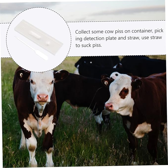 Healifty 3 pcs Pregnant Tester Pigs Pregnancy Test Strip Cattle Pregnant Test Paper Livestock Pregnancy Test Strip Animal Early Pregnancy Test Strip Cow Pregnancy Test Strip Farm Supply sow