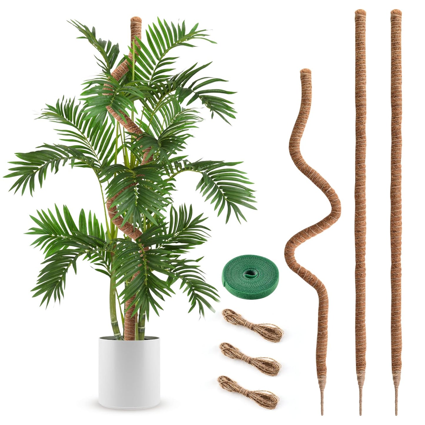 3 Pack Moss Pole 63 Inch Monstera Plant Support Moss Poles Bendable for Climbing Plants Longer Coco Coir Sticks Support Stakes Tall for Indoor Creeper DIY Shape Plants Grow Upwards