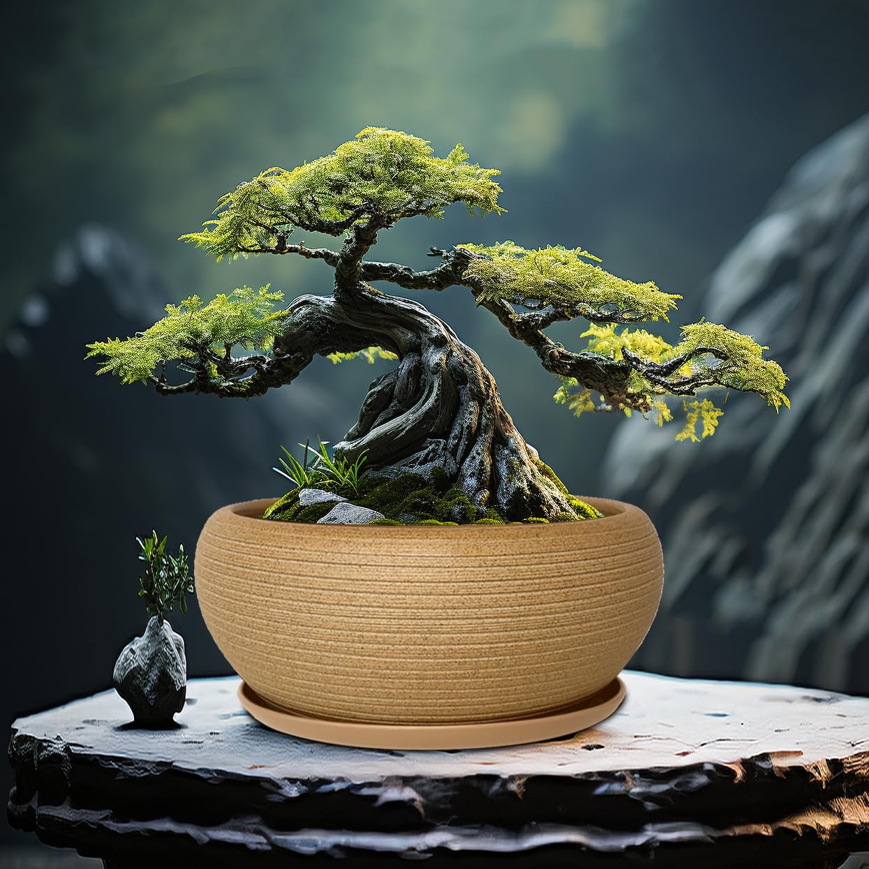 MUZHI 9.5” Round Large Ceramic Bonsai Bowl Planter，Clay Succulent Plant Pot Container with Saucer