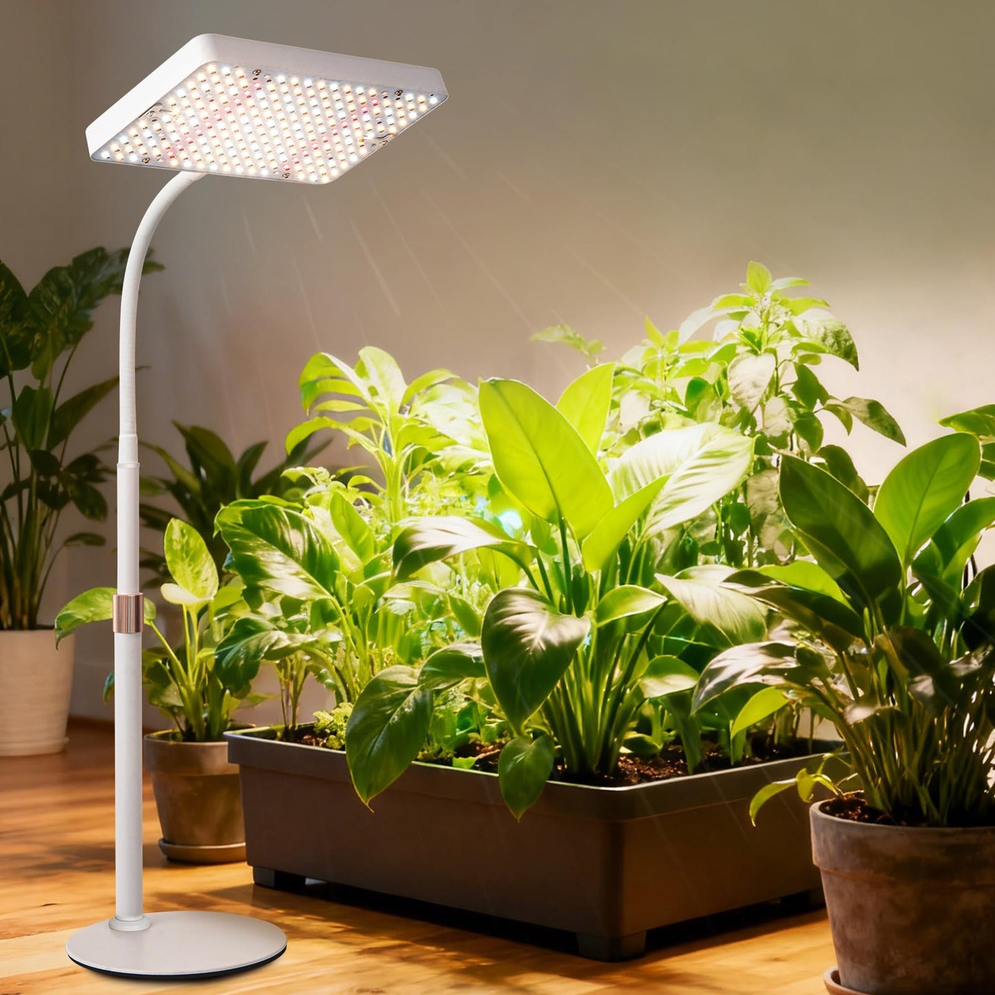 JINHONGTO Tabletop Grow Light, Bright Desk Grow Lights for Seed Starting, Bonsai, Succulent, Cactus, 4/8/12/16/20H Timer, 25 Watt Power Draw, NO Need Adapter, 16"-24" Height, Daisy Chain Function