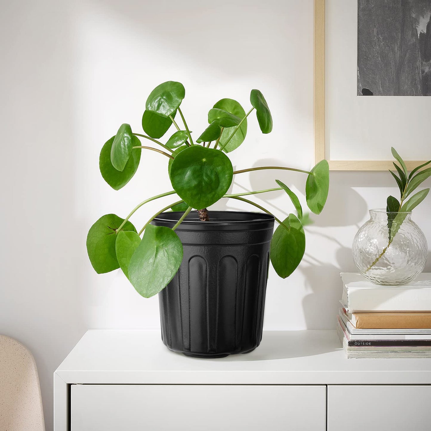 RAOOKIF 3 Gallon Pots for Plants, Flexible 1/2/3/5 Gallon Nursery Pot with Drainage, 3 Gallon Plastic Pots for Plants