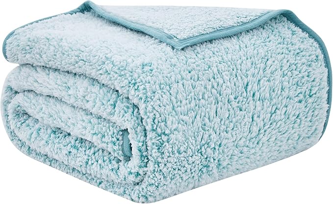 EMME Fuzzy Blanket Soft Fleece Throw Blankets for Women, Fluffy Sherpa Throws(Plush Teal,60"x80")