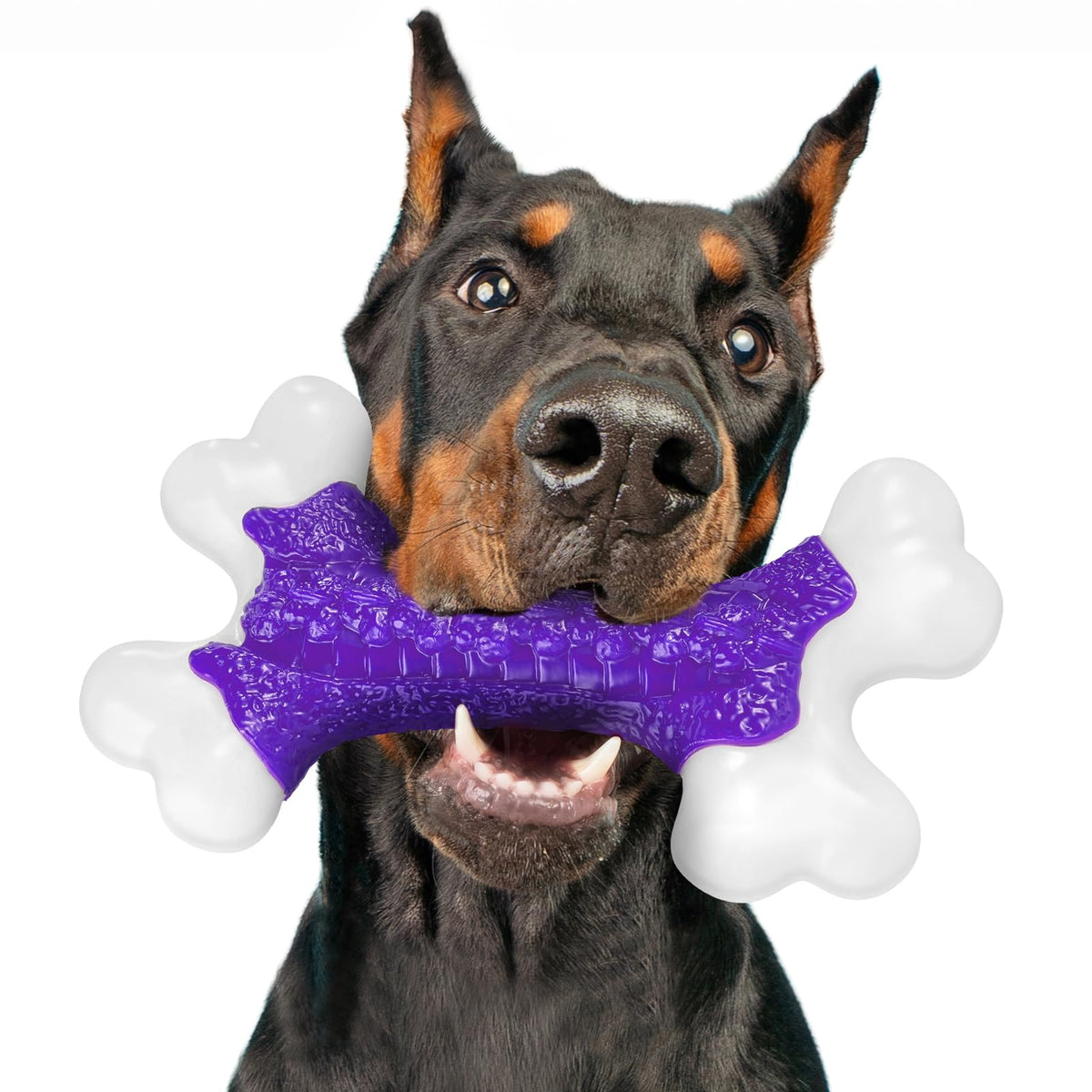 Kseroo 2-Pack Indestructible Dog Toys for Aggressive Chewers: Peanut Butter Flavored Hard Nylon Bone Chew Toys, Tough Dog Chew Toys, Dog Toys to Keep Them Busy for Medium Large Dogs, Orange