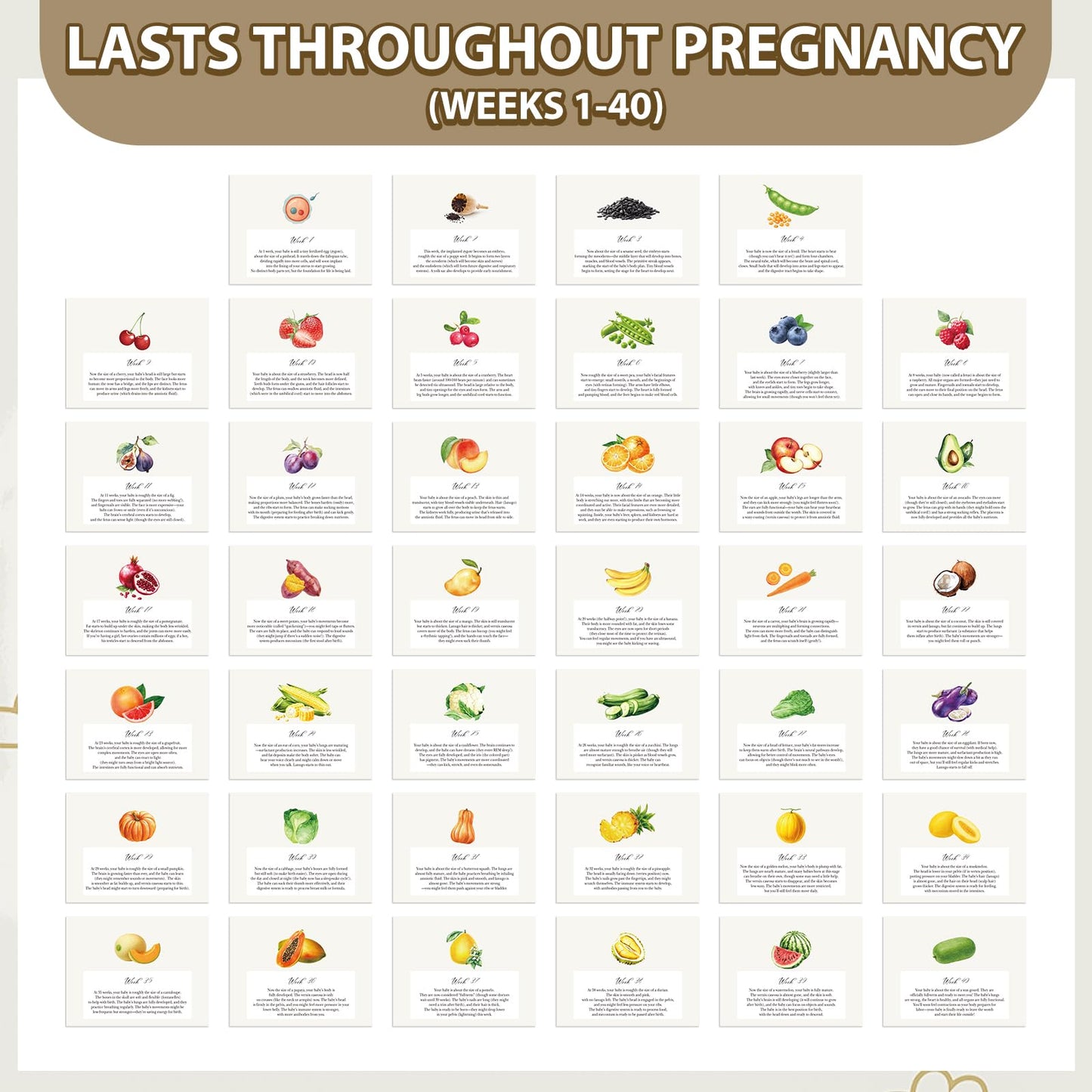 Gueevin Pregnancy Calendar Weekly Pregnancy Milestone Calendar with Scripture Pregnant Gifts for Expecting Mom, Baby Growth Tracker and First Time Parents Essentials, 44-Page Flip