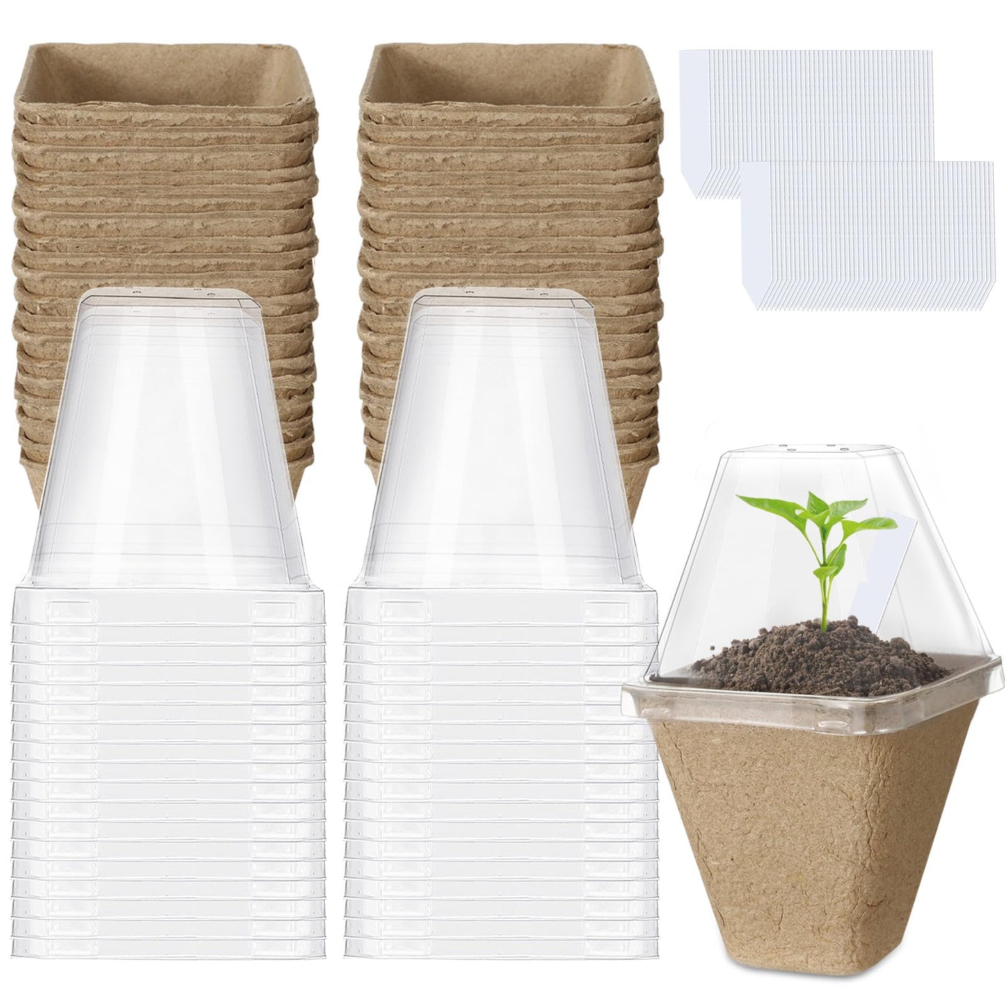 Aulock 36 Sets Plant Nursery Pots with Humidity Dome - 3in Seed Starting Pots, Square Peat Pots with 100 Labels for Garden Flowers Herbs Vegetables Seedlings