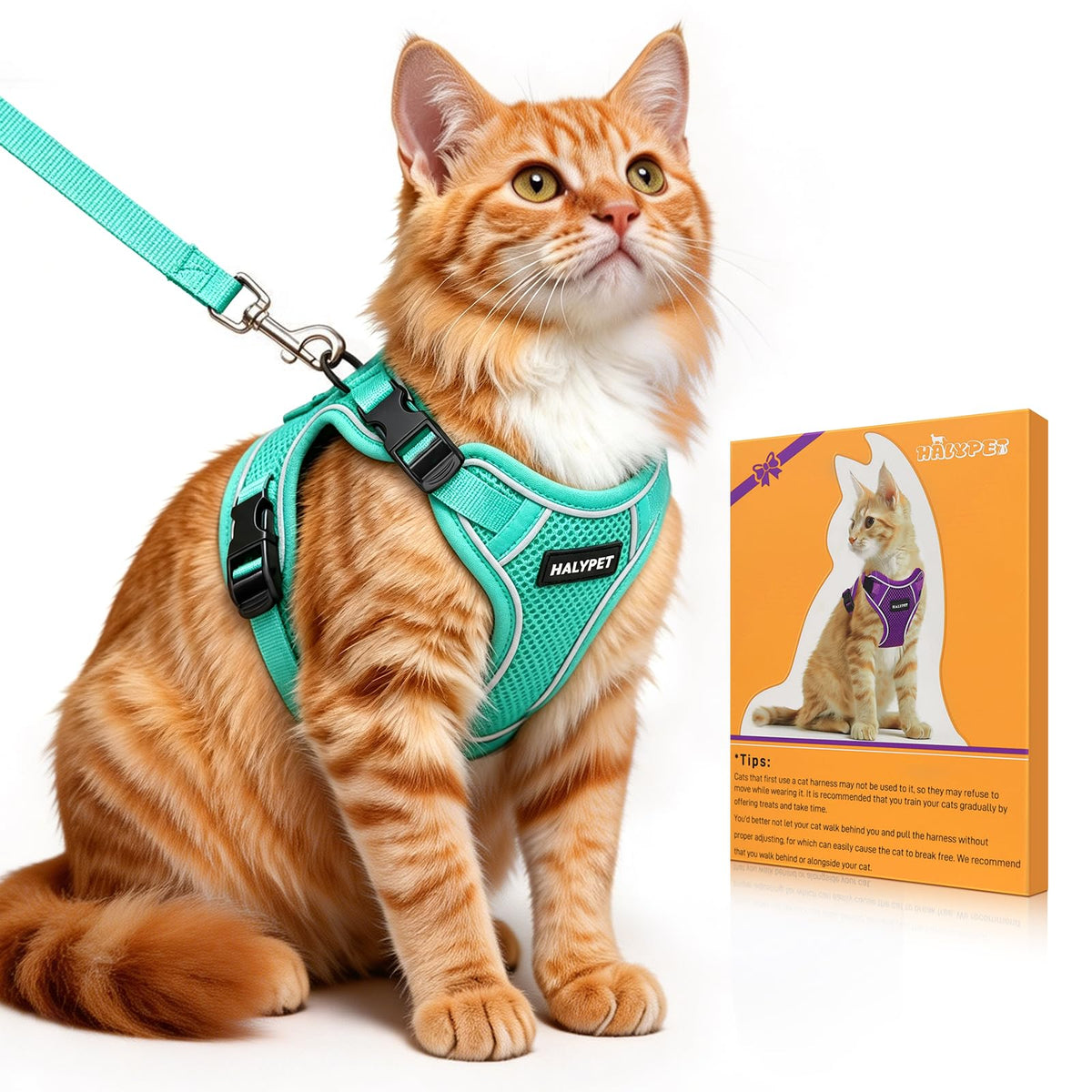 Cat Harness and Leash Set,Escape Proof Kitten Harness,Orange