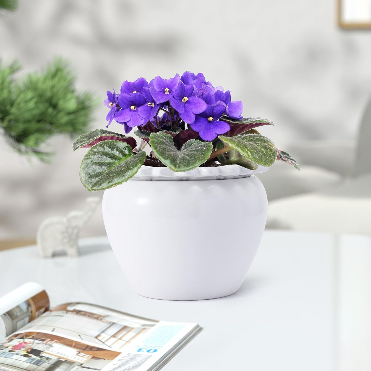 Lovely Ran Self Watering Plant Pot African Violet Pots Ceramic 6.5 * 4.6 * 4 inch White for Indoor Flowers and Plants Simple Plant Self Watering Pot Modern Decor Pots Efficient Absorption Water