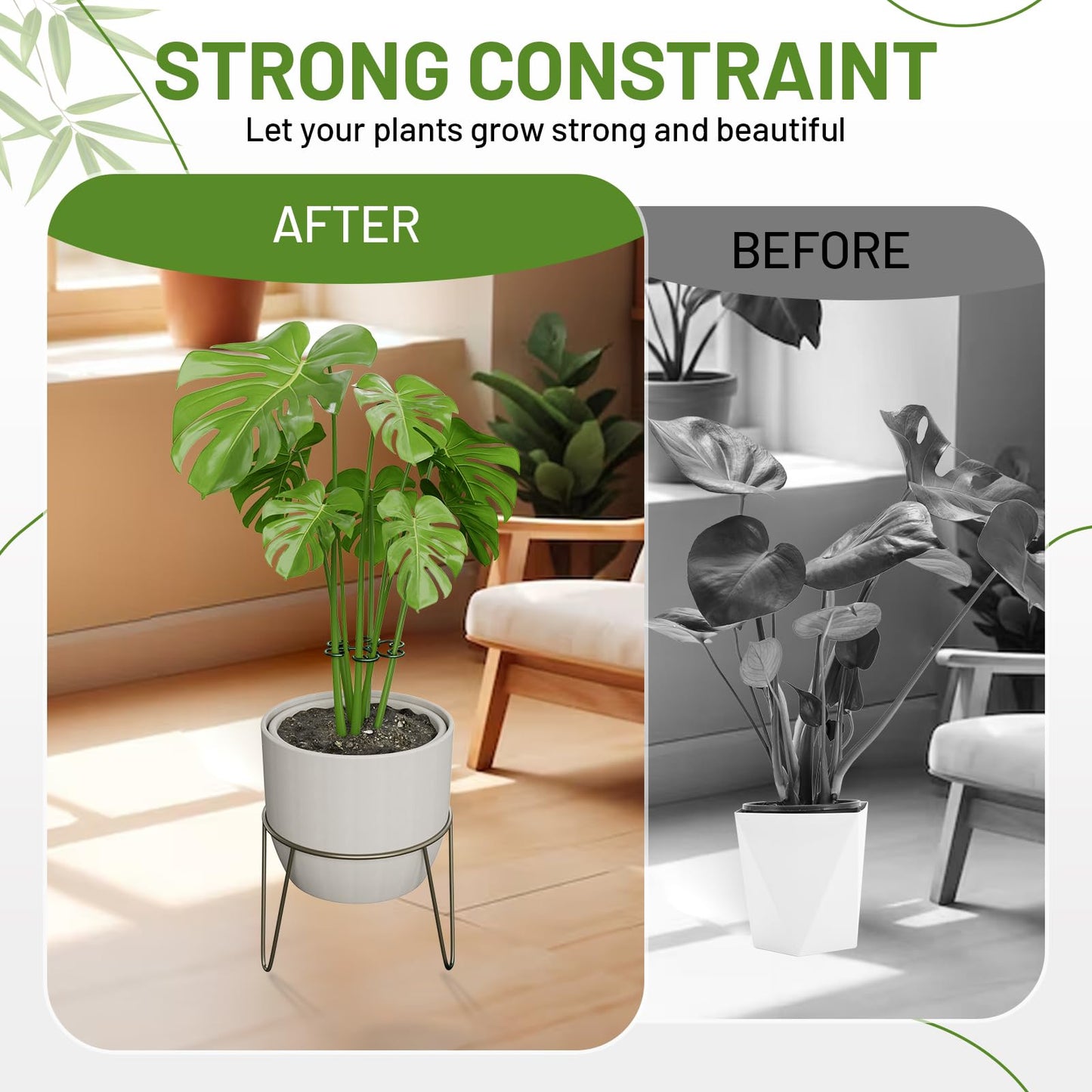 Yeomant 4PCS Green Iron Monstera Support, Uniquely Designed Plant Support Stakes for Indoor Plants, Stable Plant Stakes and Supports, Turtle Shell Bamboo Clamp Set for Thriving Growth