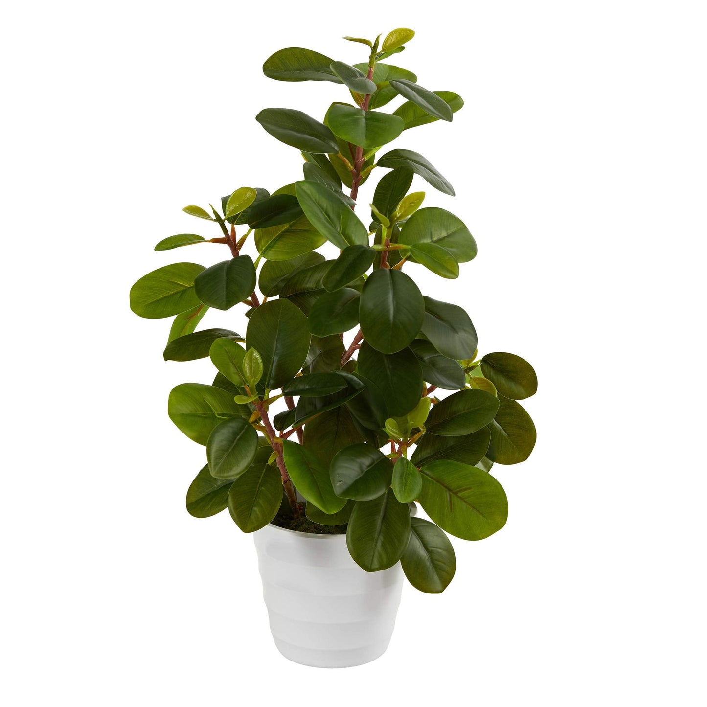 Nearly Natural 16in. Peperomia Artificial Plant in Decorative Planter