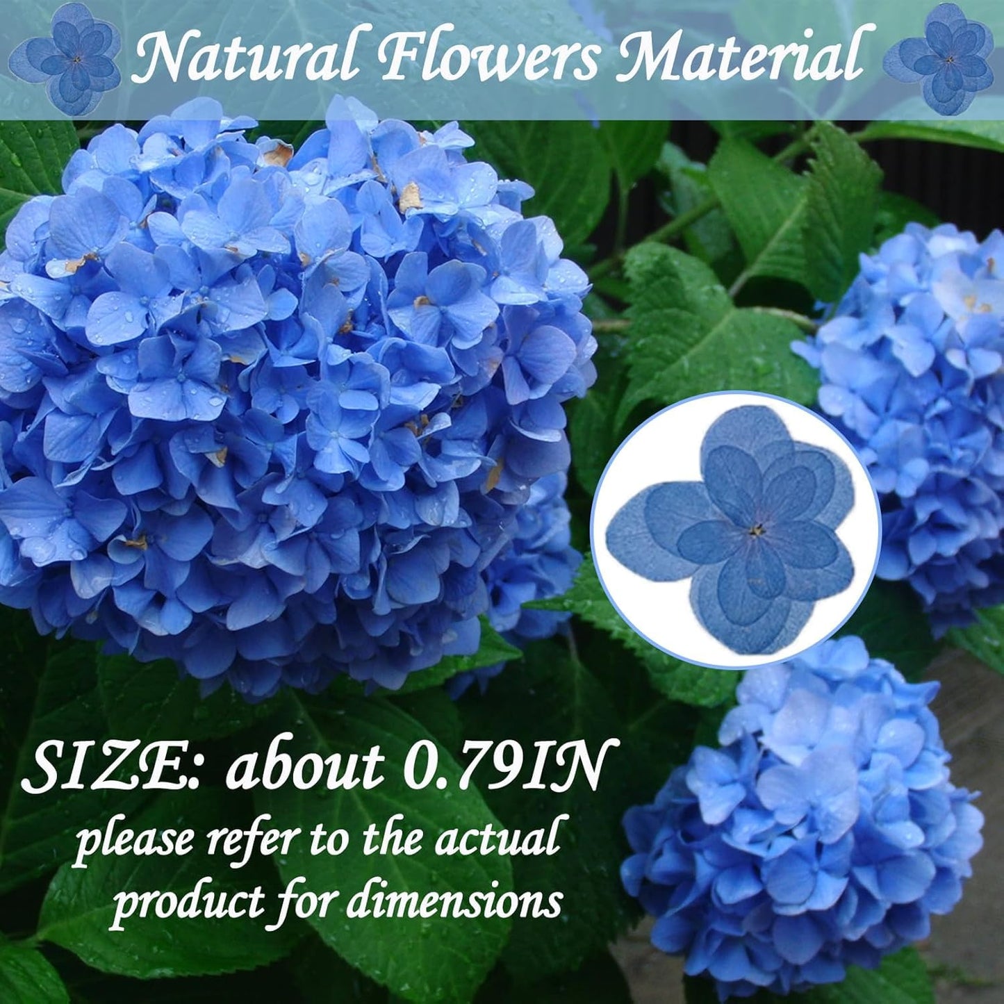 ALJ Blue Dried Flowers Double Hydrangea for Resin Crafts Embellishments, 60PCS Natural Pressed Flowers for Resin Jewelry DIY Phone Case Decor Candle Making Decoration