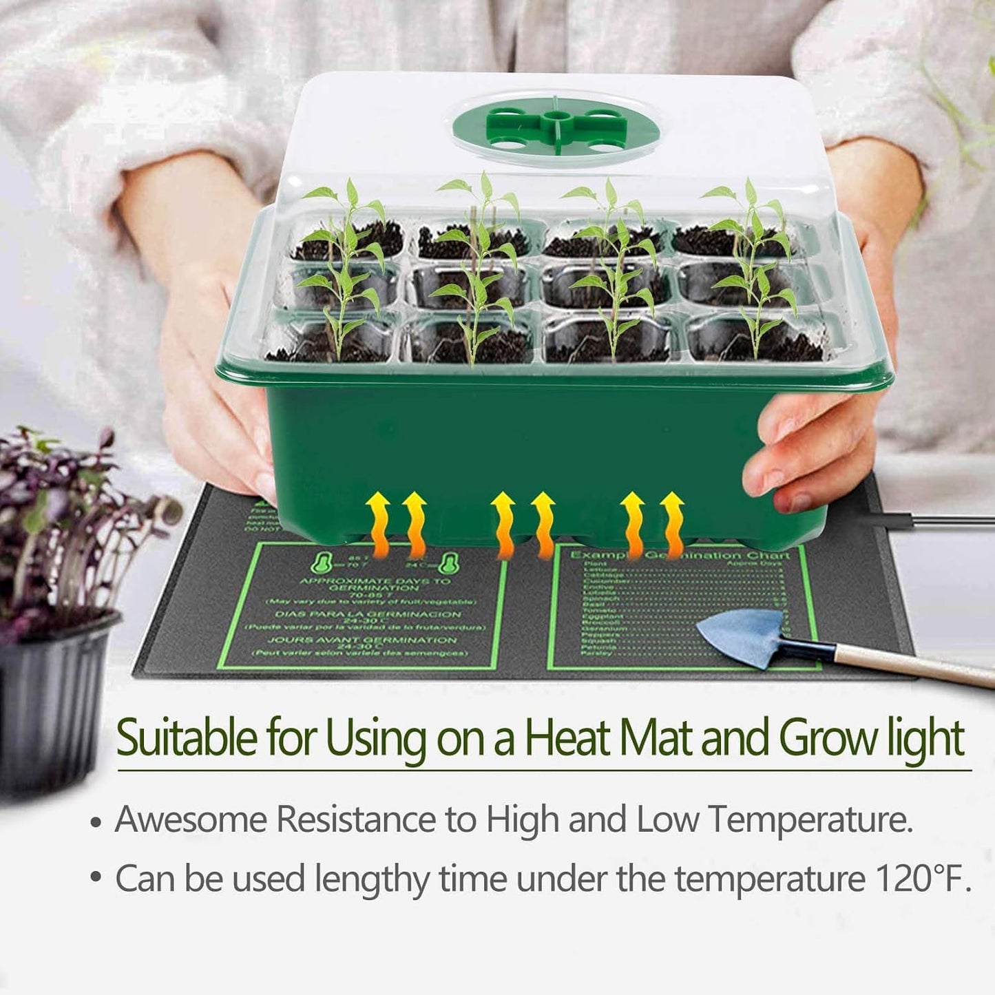 Hdeoops Seed Starter Tray, 6 Set Seedling Kits with Adjustable Humidity Dome, Plant Starter Kit for Seeds Growing Starting (12 Cells per Tray)