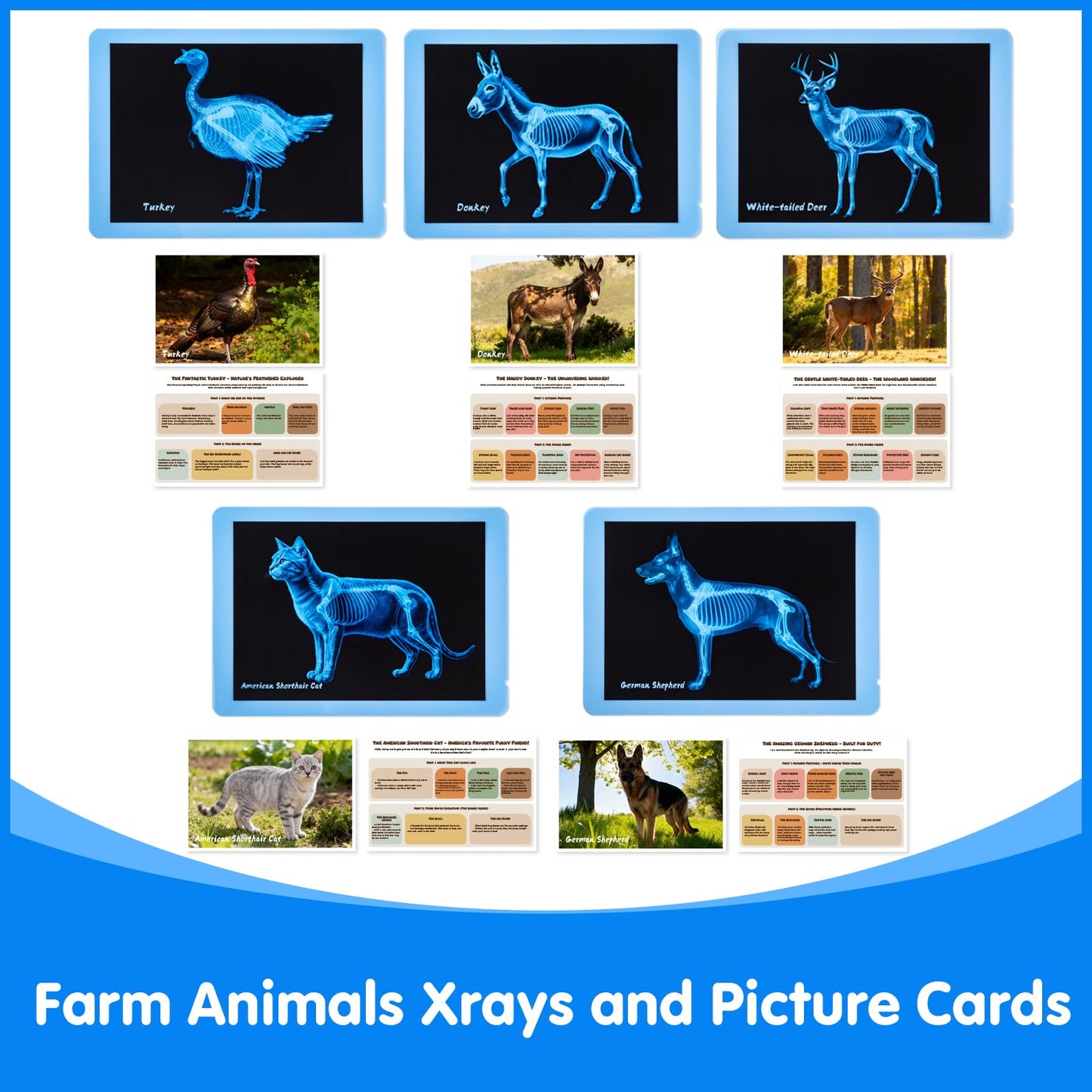 Odoorgames Farm Animal Xrays - 140 Pcs Translucent Pattern Blocks, Sensory Light Table Toy Set for Kids, Artist Tracing Light Box, LED Light Up Sensory Table Toys