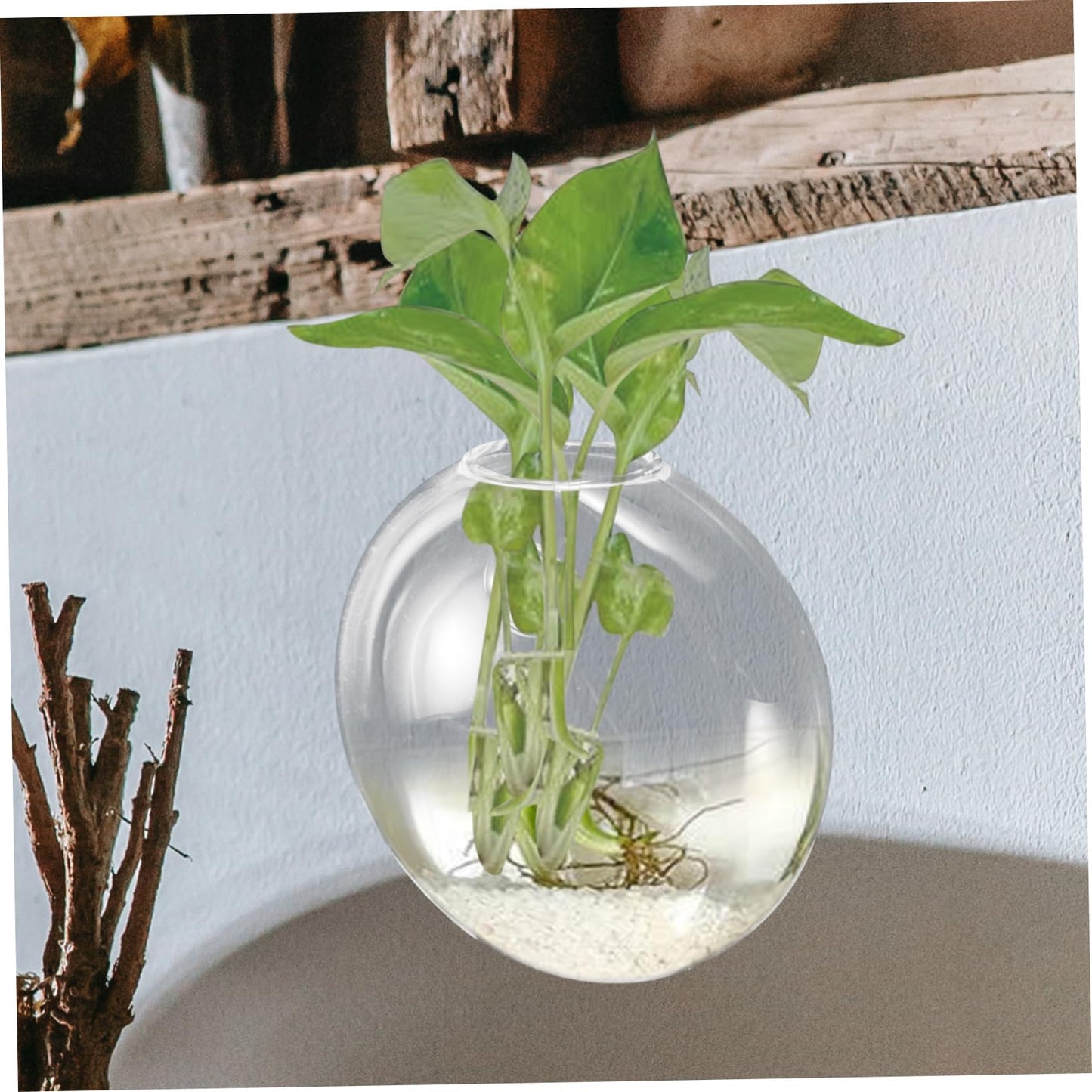 Happyyami Wall Hanging Hydroponic Glass Vase Elegant Transparent Terrarium Planter for Home Decor Versatile Wall Propagation Holder for Indoor Plants