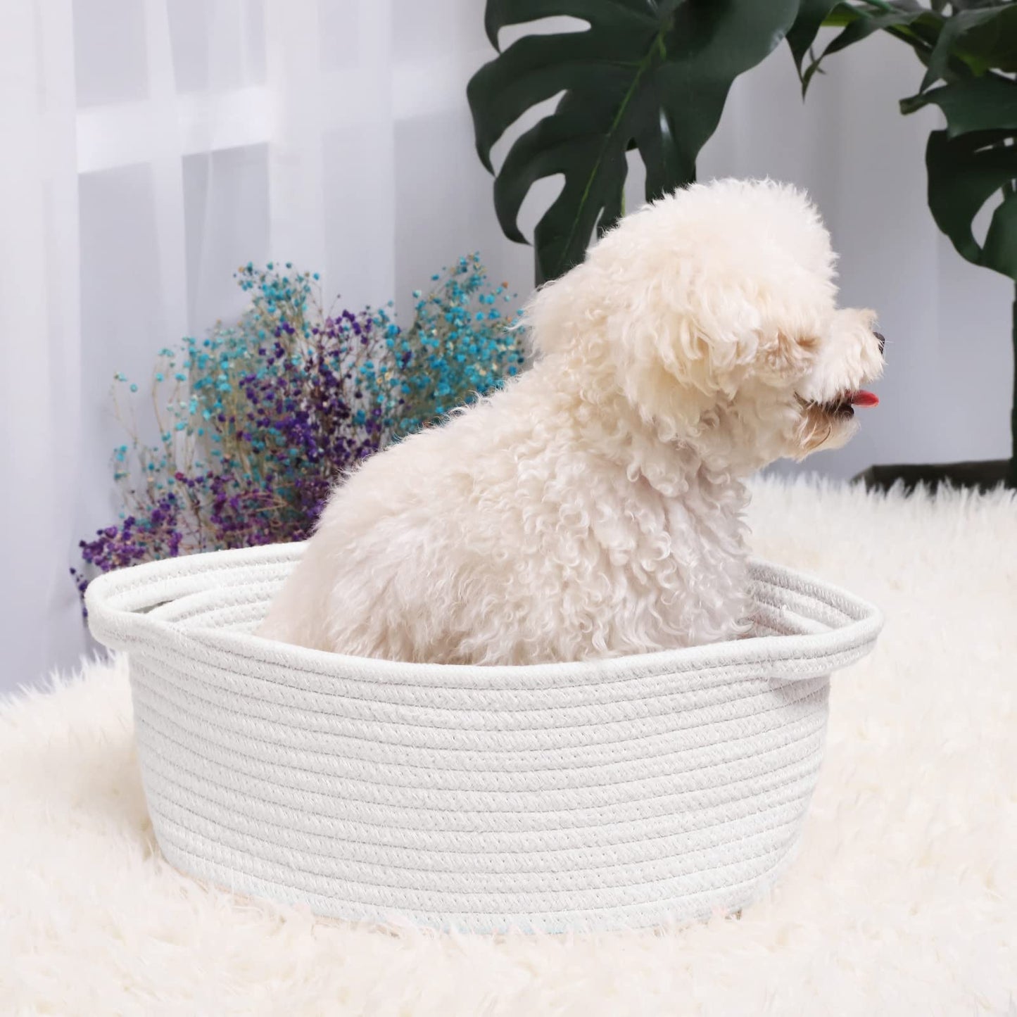 ABenkle Small Basket with Handles, Boho Decorative Rope Woven Dog Cat Toy Storage Bin Shelf Storage Organizer, Easter Christmas Gift Basket, 12"x8"x5", White