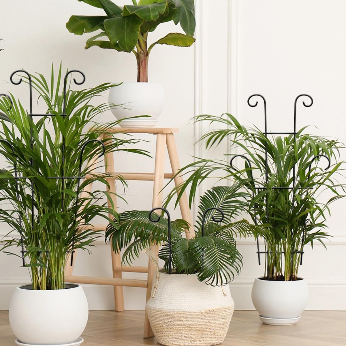 Xeeol Plant Trellis for Potted Plants 2p, Larger 23in Garden Trellis for Climbing Plants Indoor Outdoor, Rustproof House Plant Support Stakes for Pothos Hoya Ivy Flower