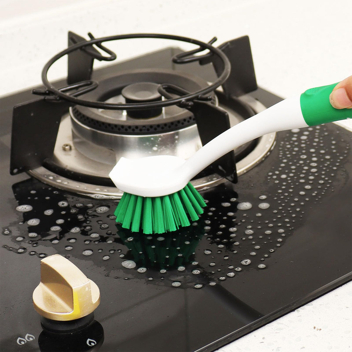 Dish Brush with Handle (2 Count)