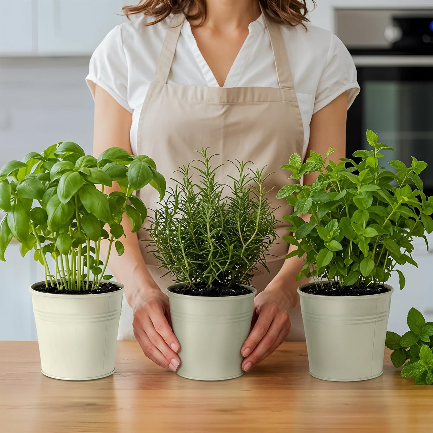 Plexon Herb Planter Indoor Garden Set of 3 with Tray, Metal Herb Pots for Indoor Plants, Round Kitchen Garden Kit Ideal for Windowsill Planter or Countertop, Off-White Powder Coated